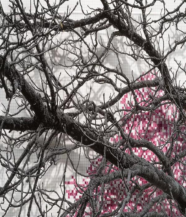 Thumbnail image for exhibition titled Numbers and Trees: London Series 2, Tree #1, Blomfield Street