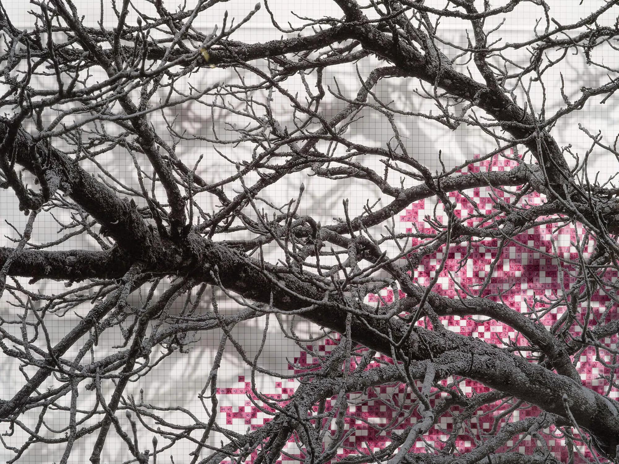 Hero image for exhibition titled Numbers and Trees: London Series 2, Tree #1, Blomfield Street