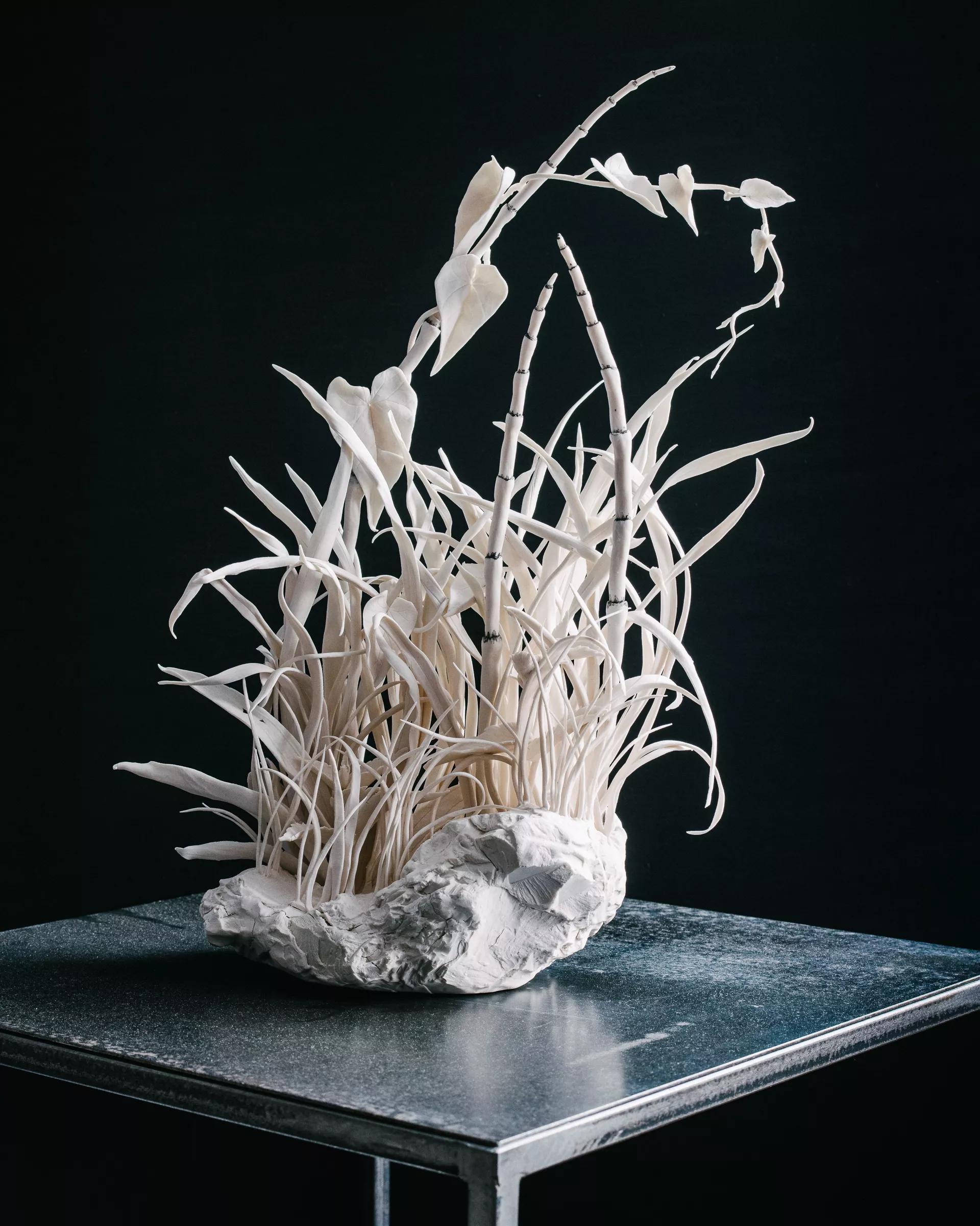 Image for exhibition 