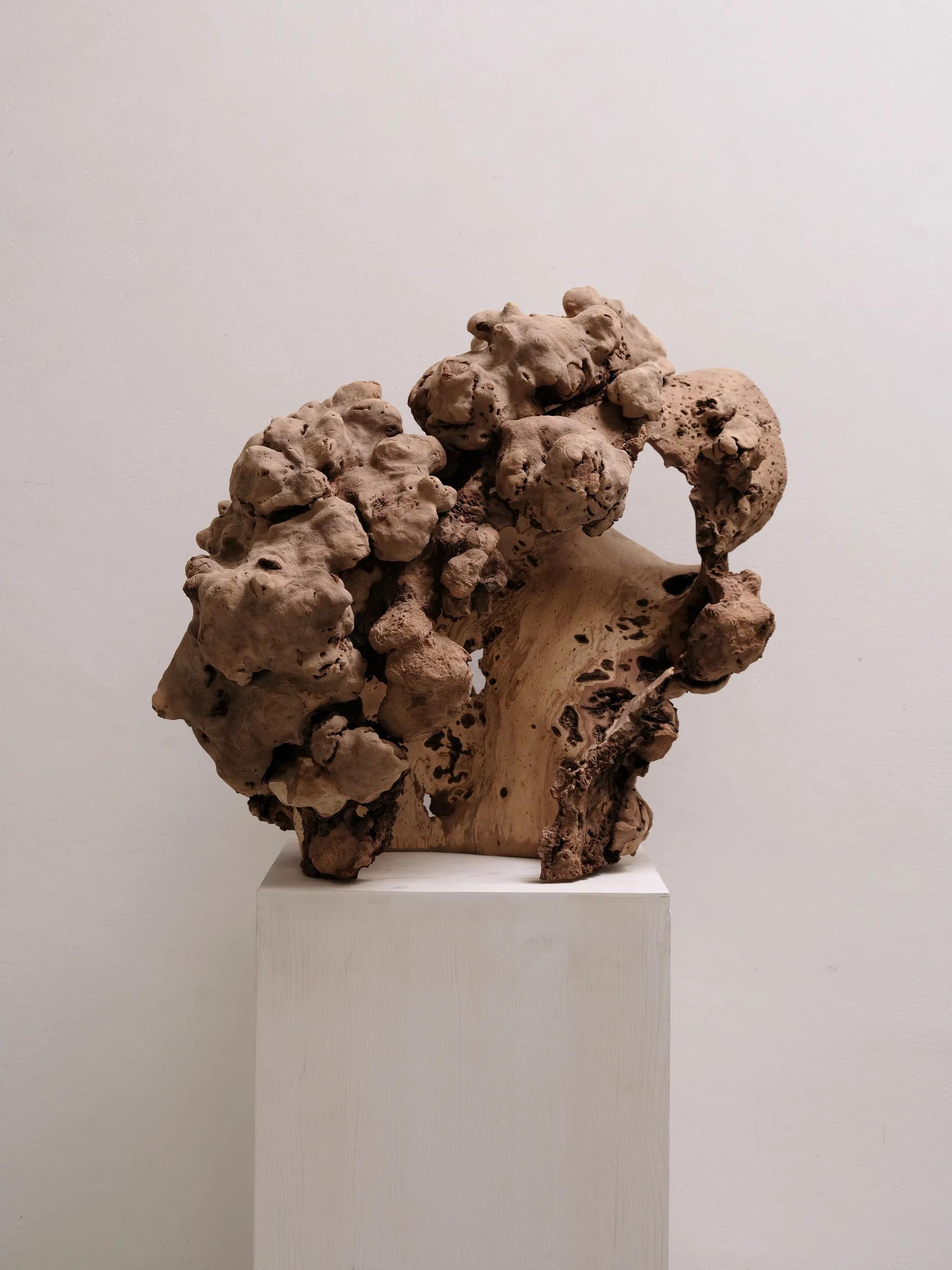 Image for exhibition titled Max Bainbridge