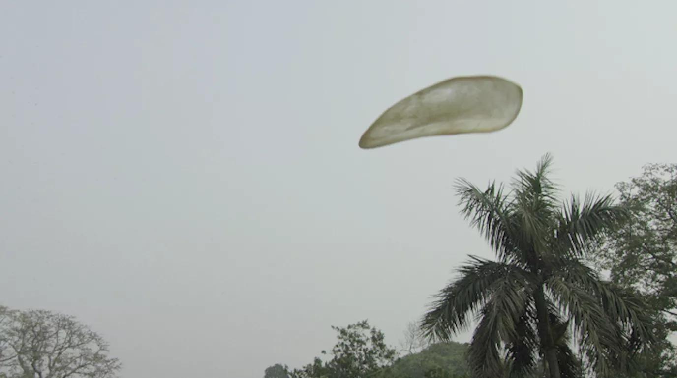 Image for exhibition 