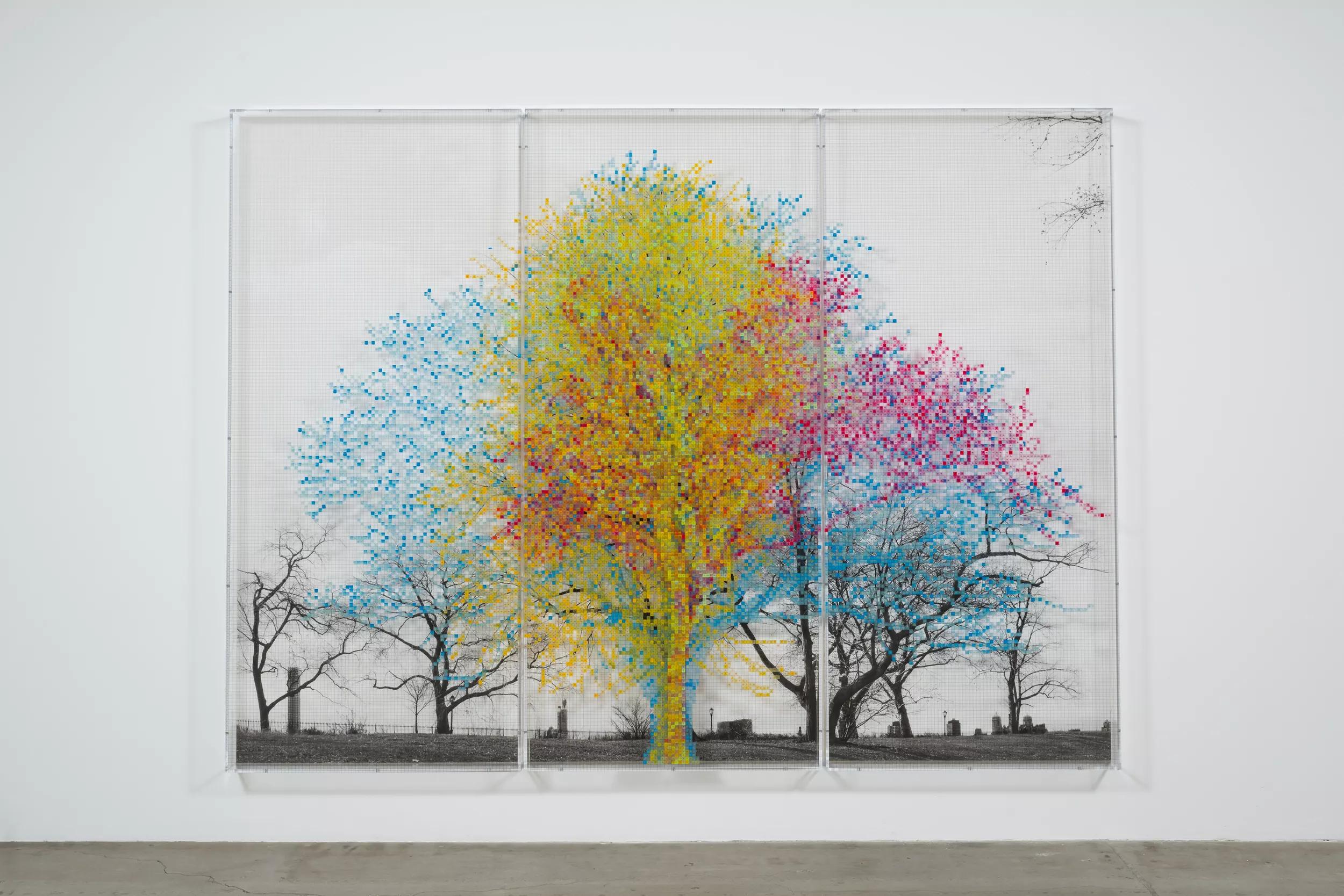 Image for exhibition 