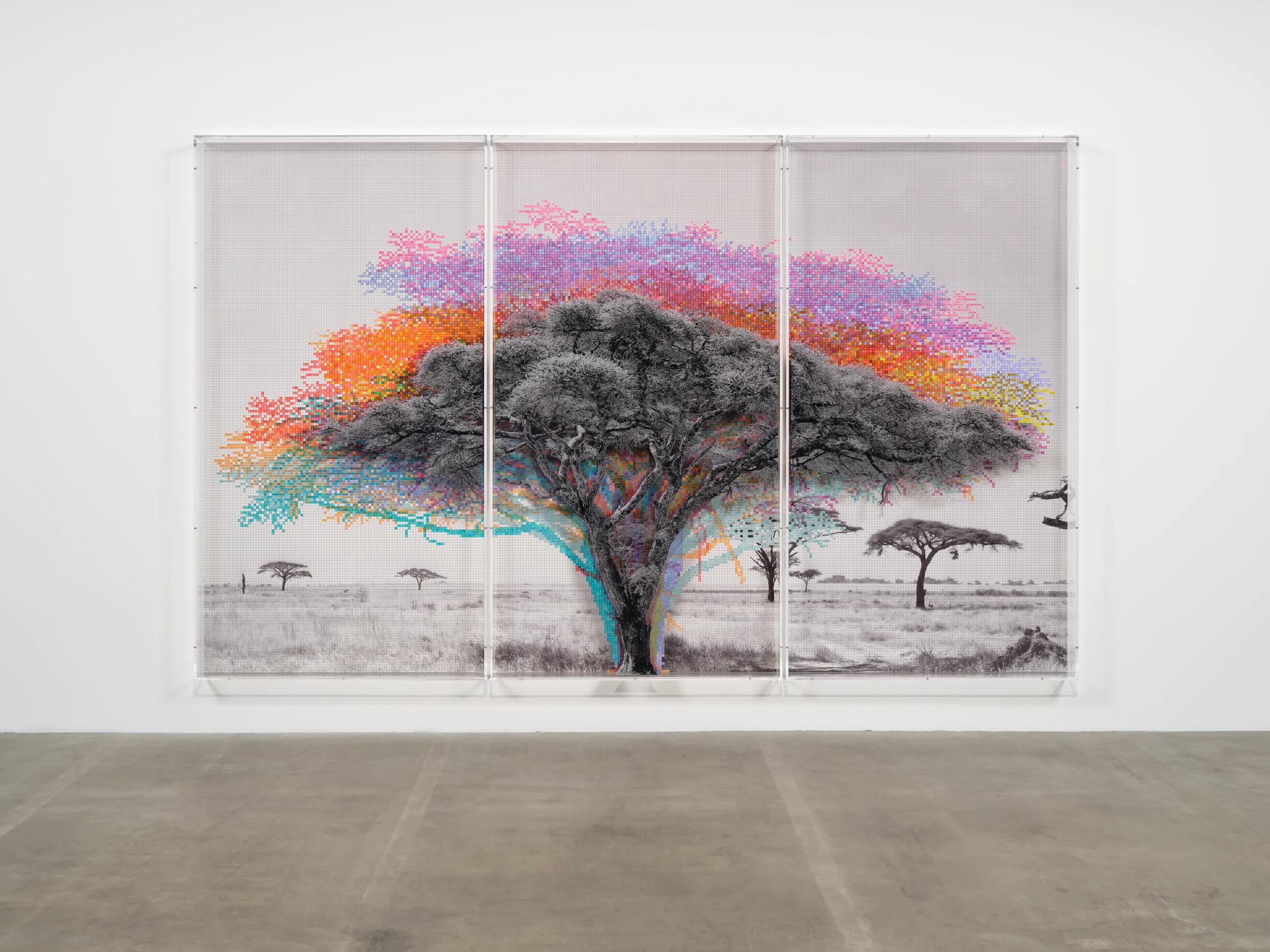 Image for exhibition titled Charles Gaines