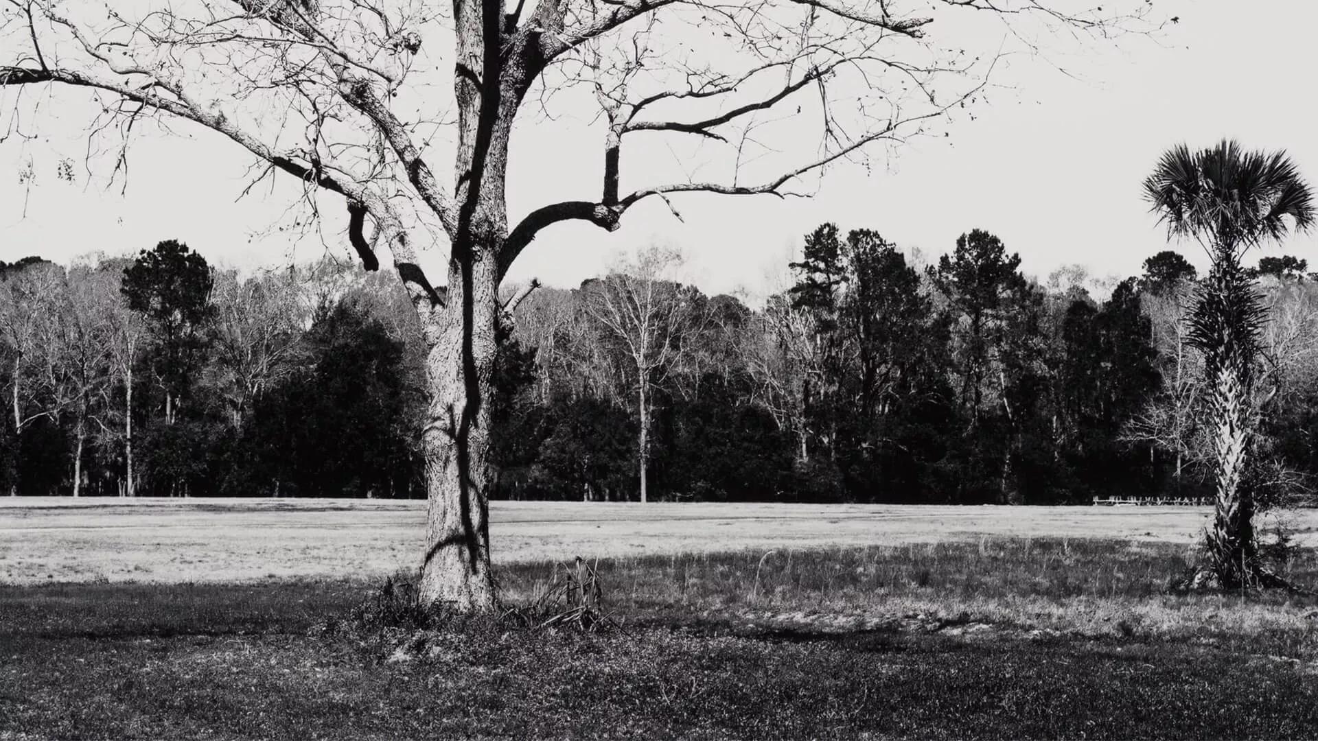 Hero image for exhibition titled Charles Gaines
