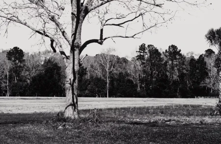 Thumbnail image for exhibition titled Charles Gaines