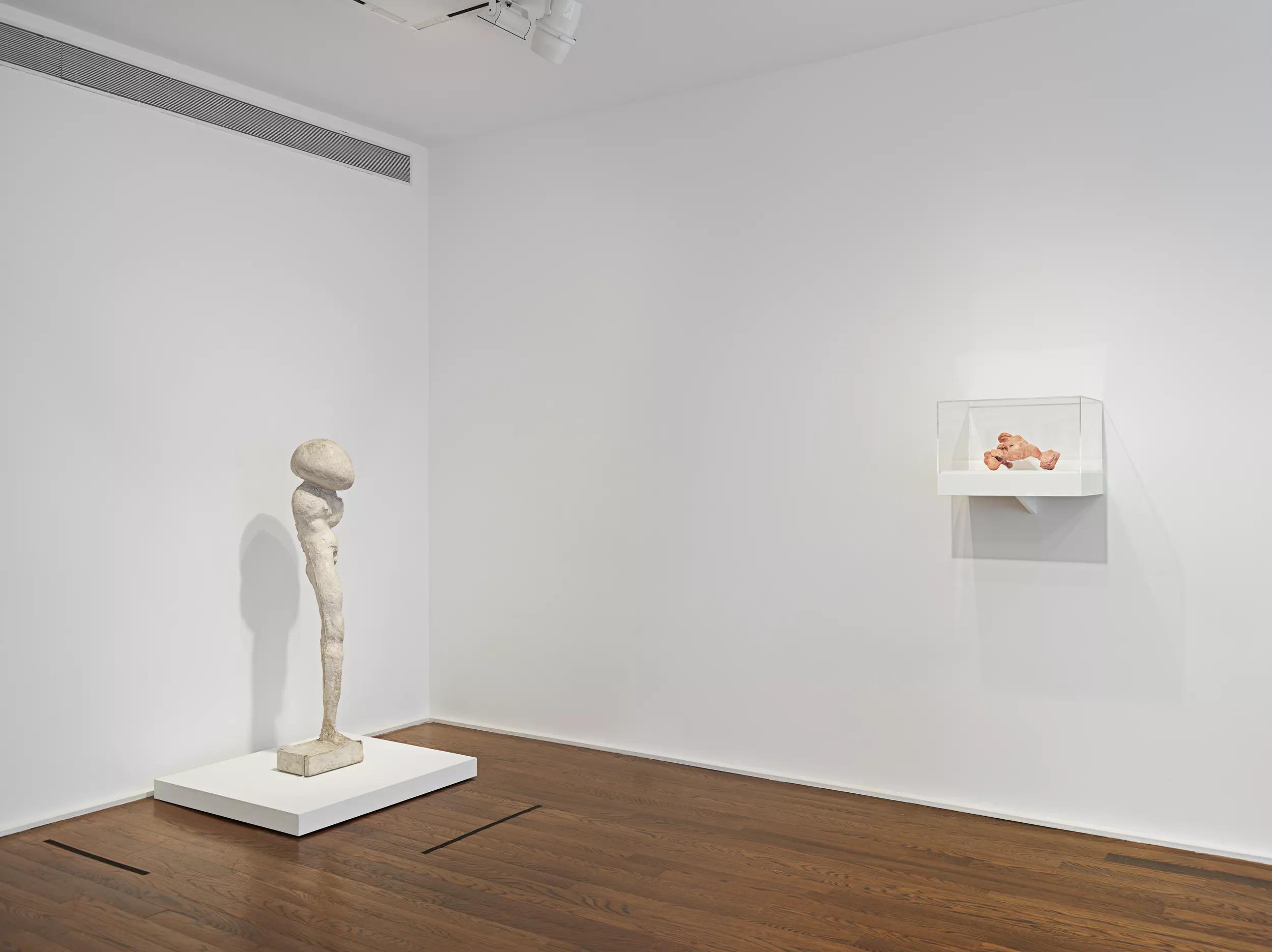 Installation view image for Installation views