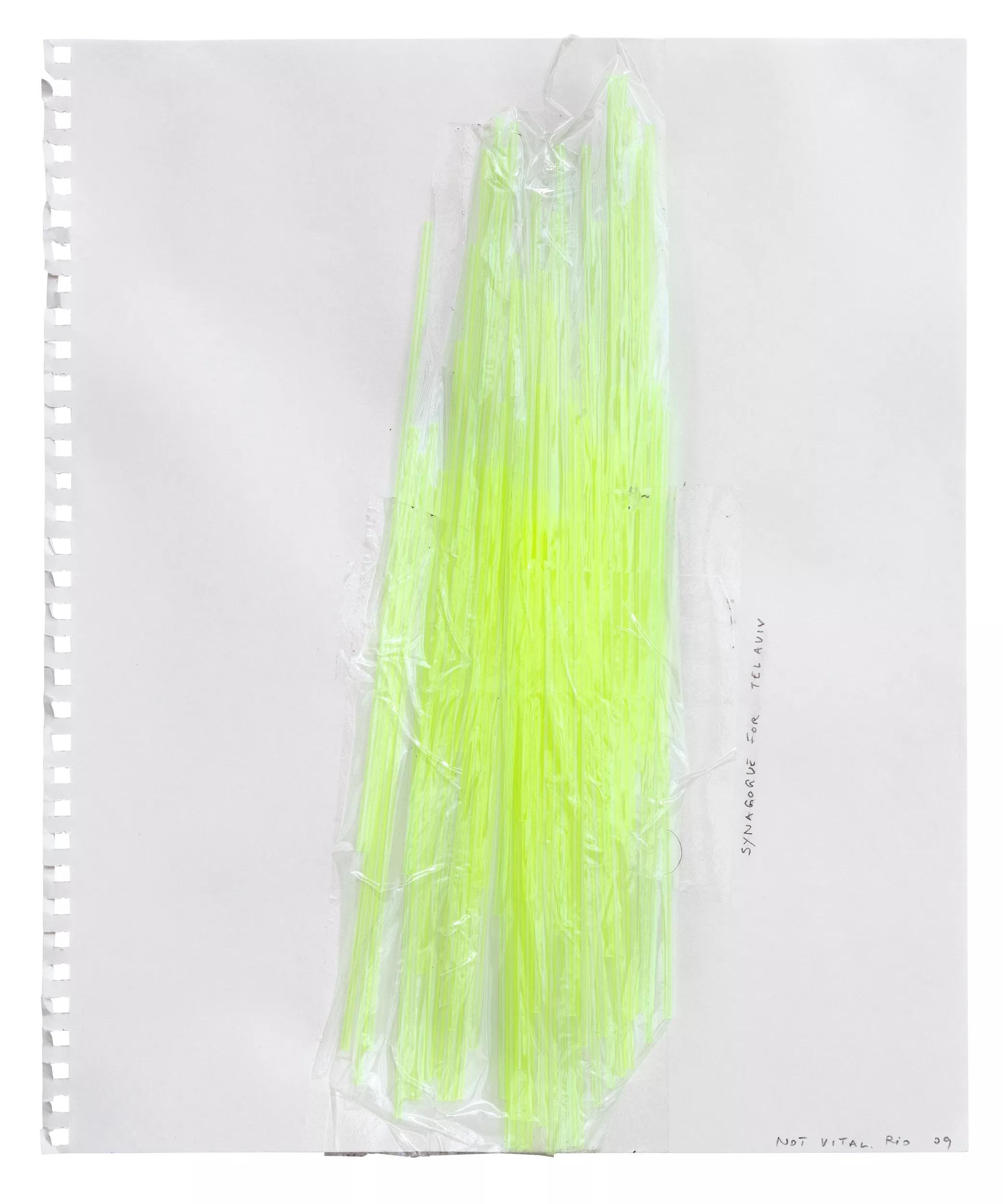 Image for exhibition titled Not Vital