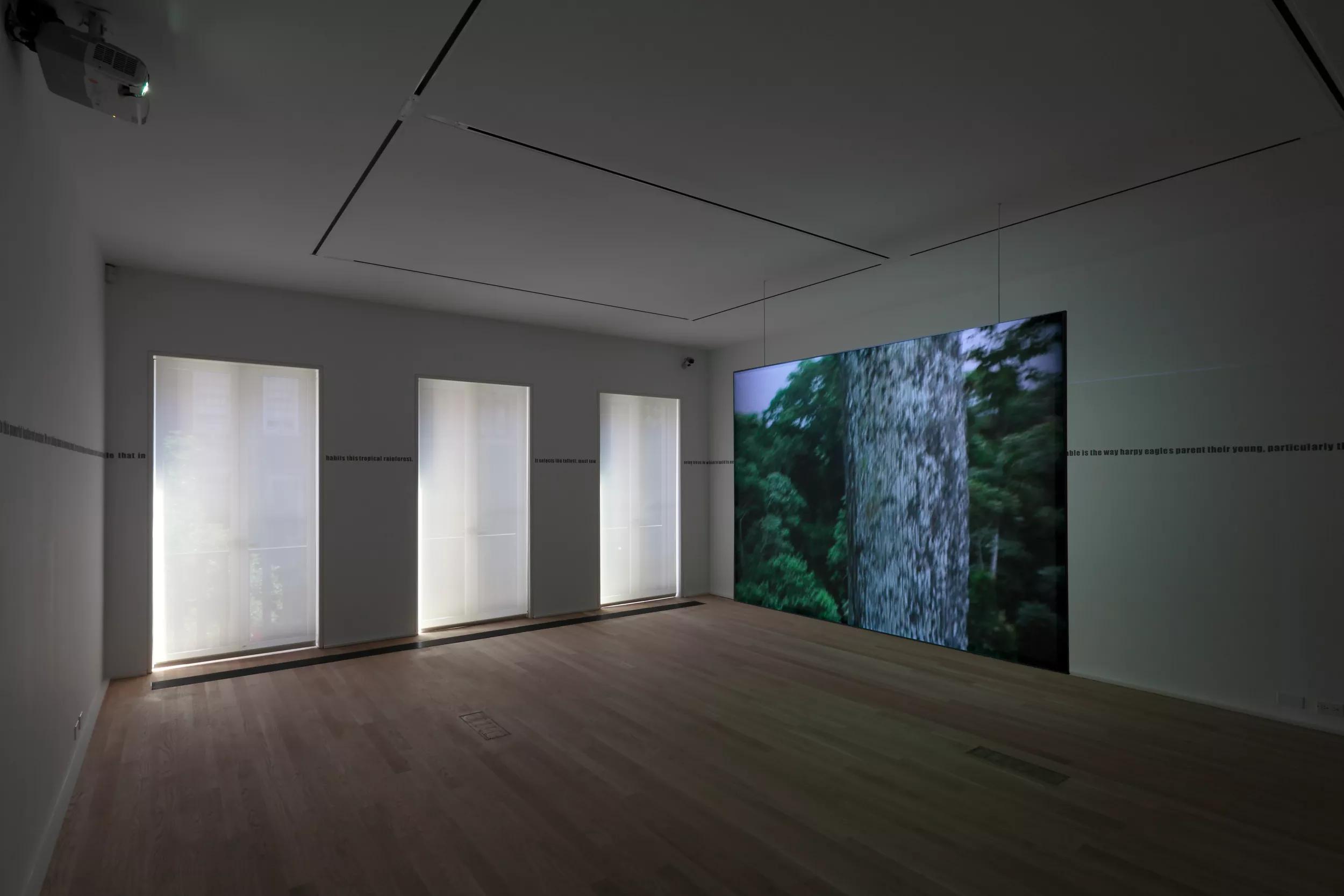 Image for exhibition 