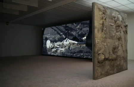 Thumbnail image for exhibition titled Pierre Huyghe