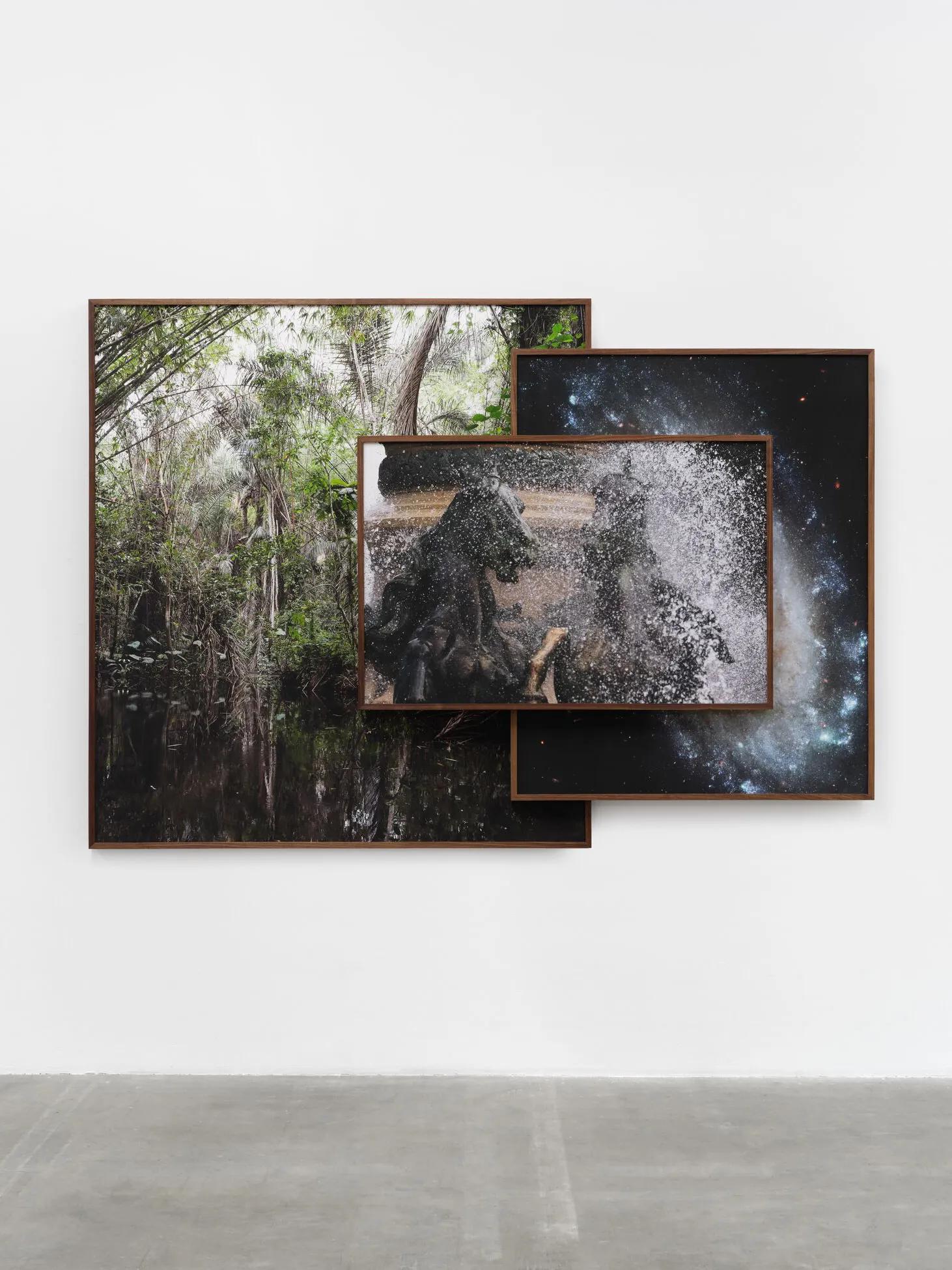 Image for exhibition titled Todd Gray
