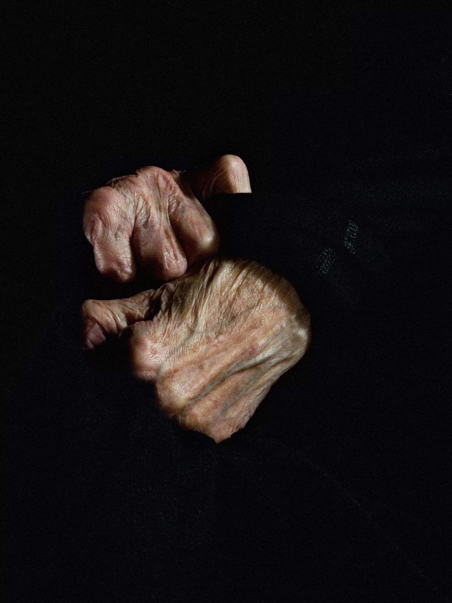 Image for exhibition 
