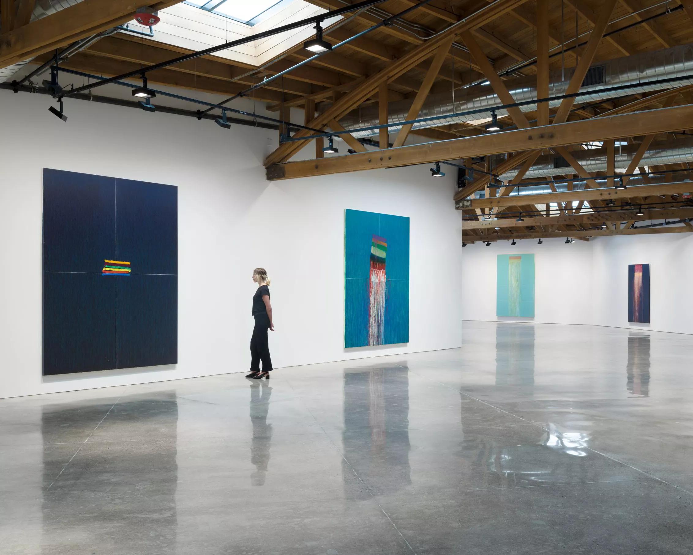 Image for PAT STEIR