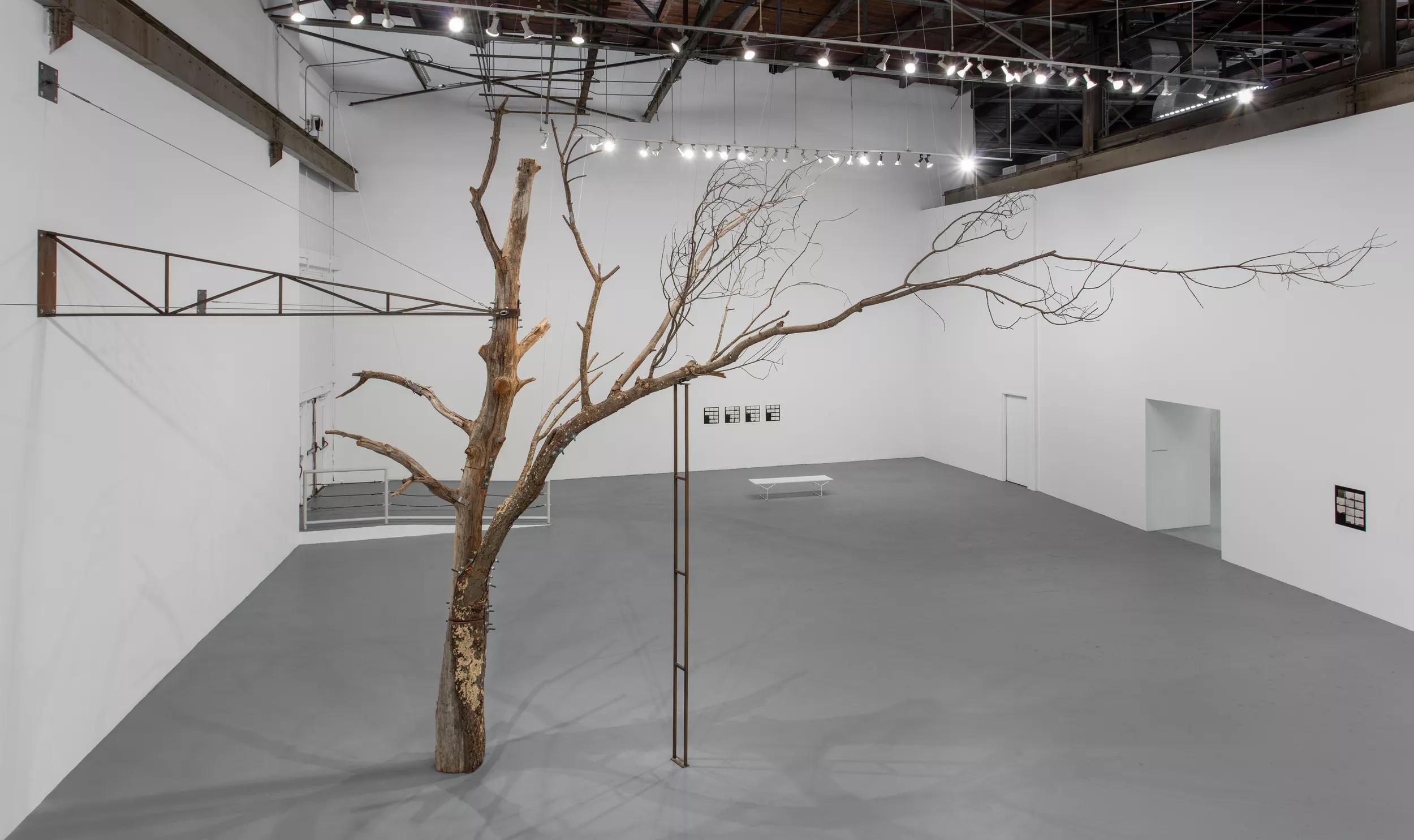 Image for exhibition 