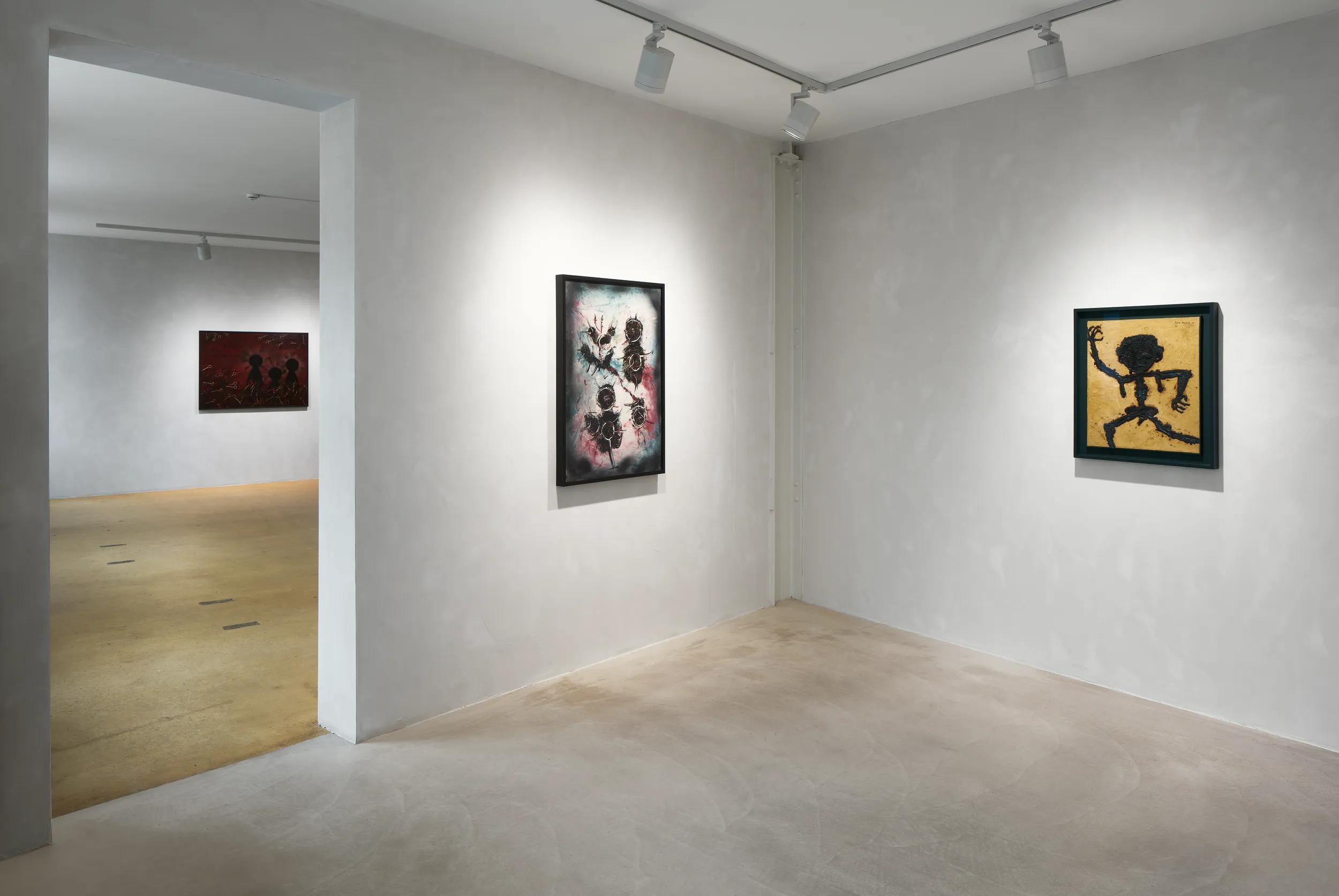 Installation view image for Installation Views