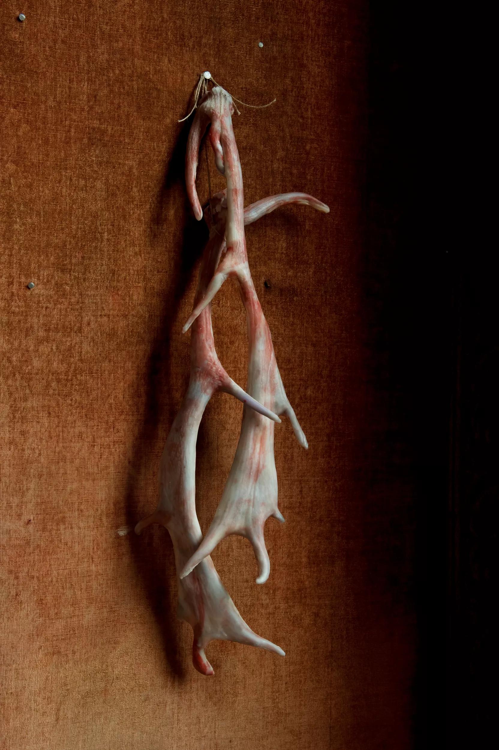 Image for exhibition 