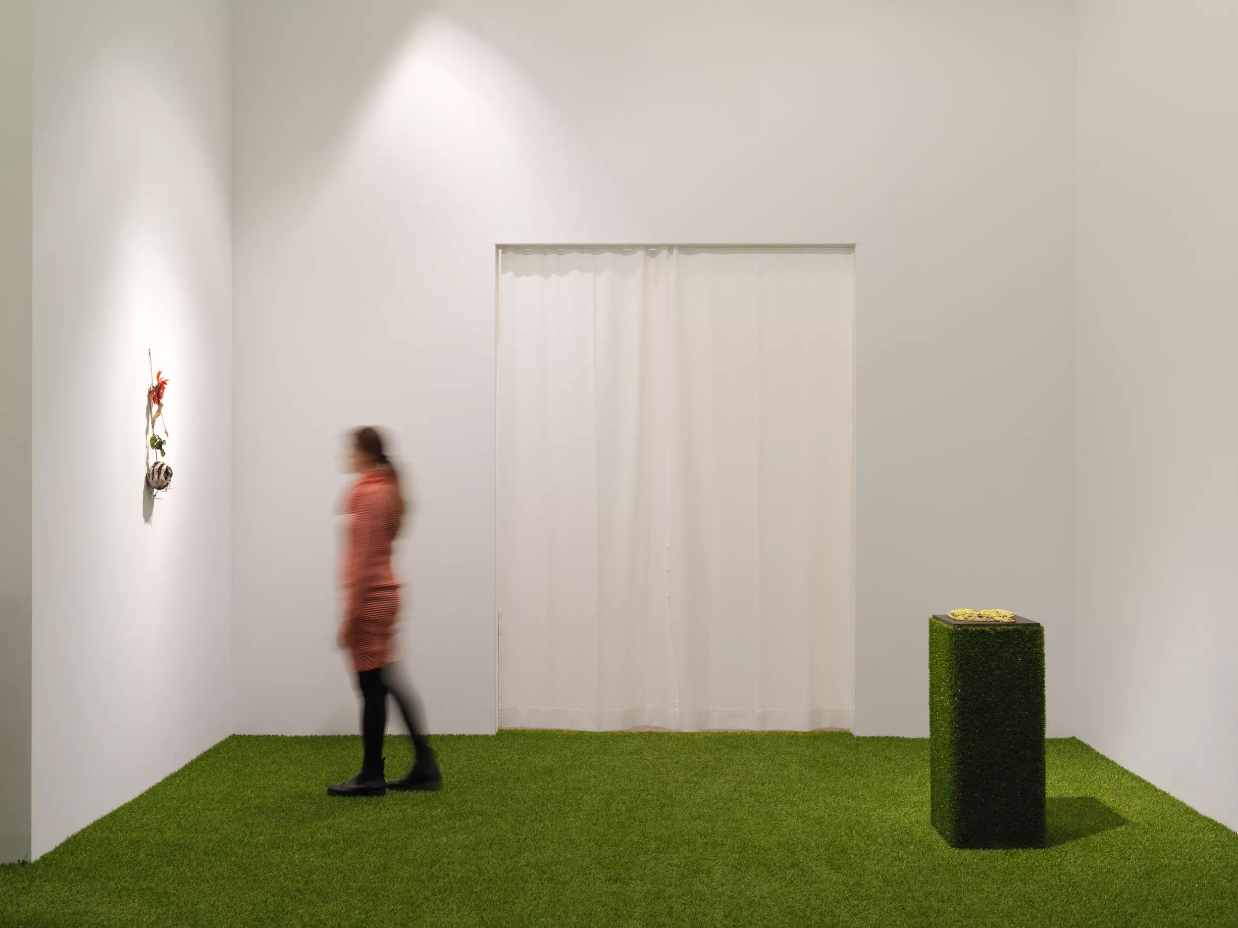 Installation view image for Installation views