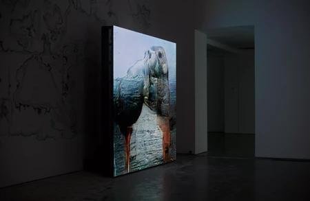 Huyghe Serpentine 2018