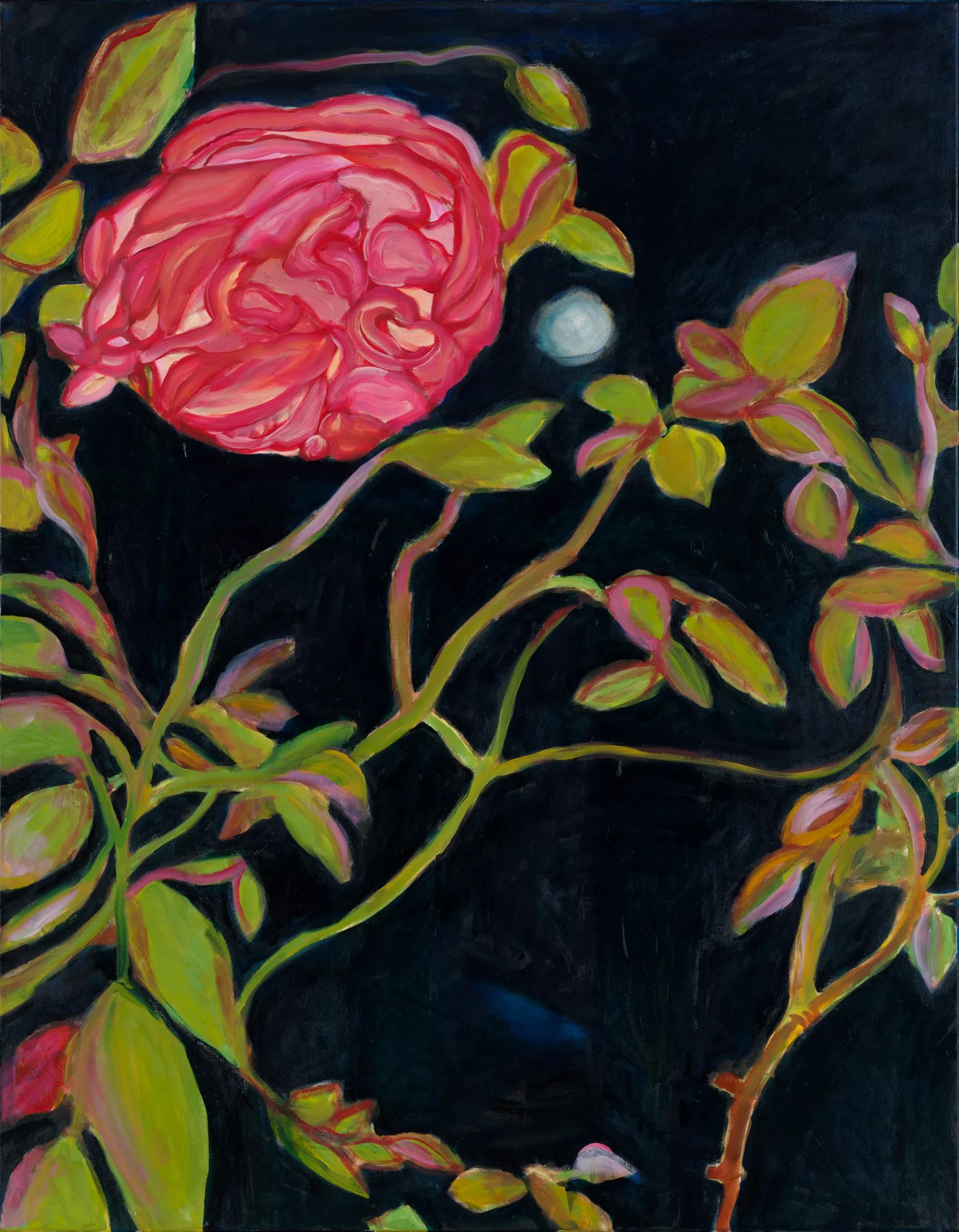 Image for exhibition 