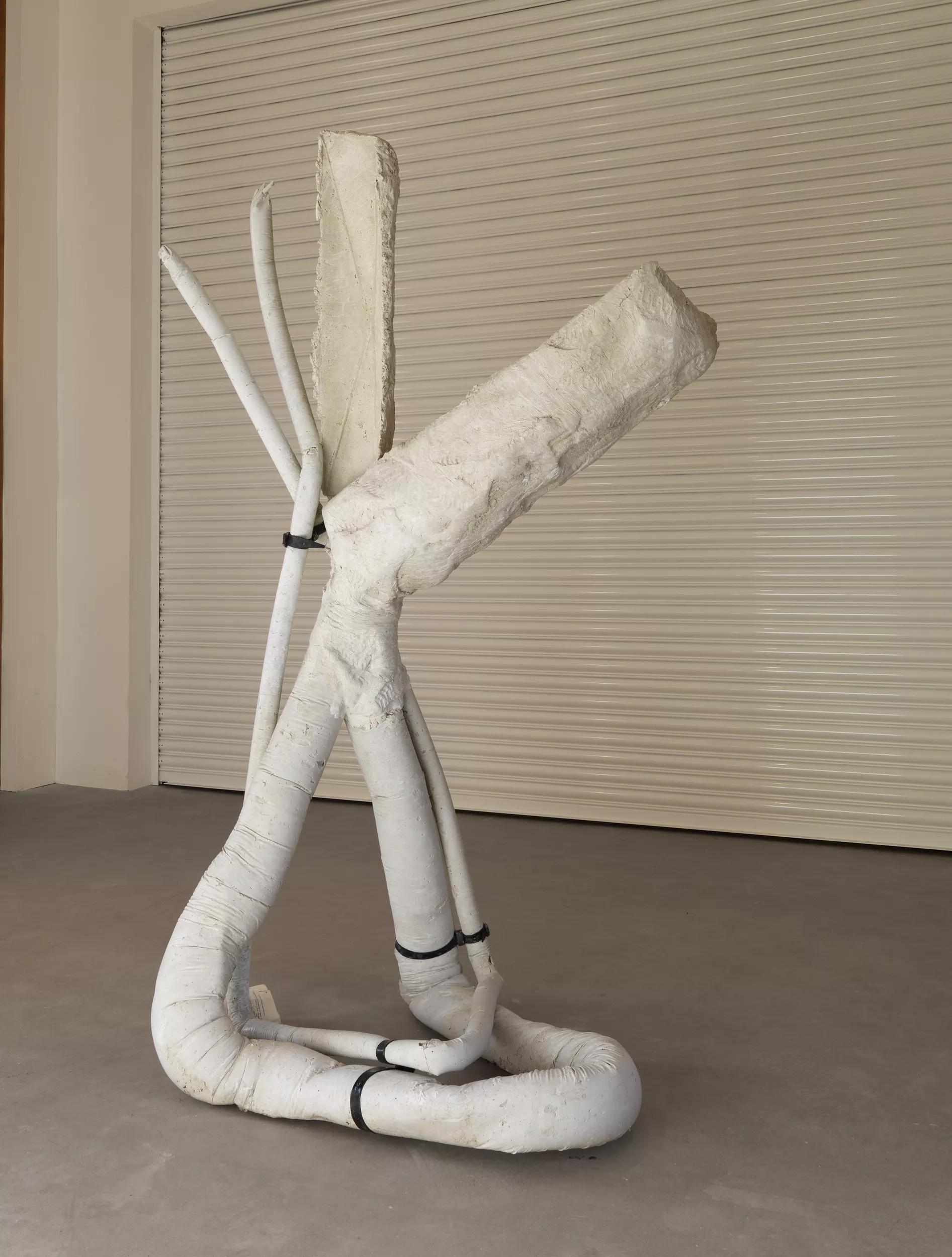 Image for exhibition 
