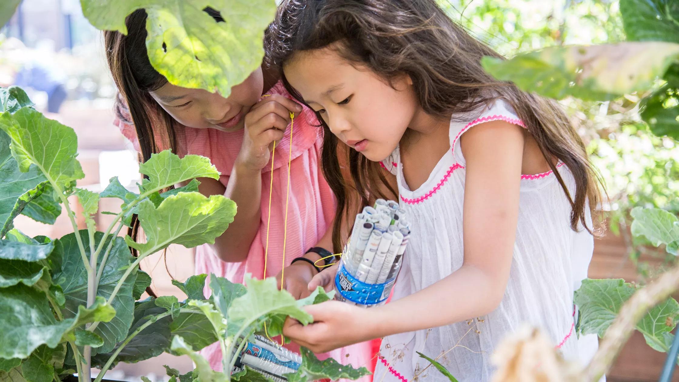 Hero image for event titled Family Garden Workshop