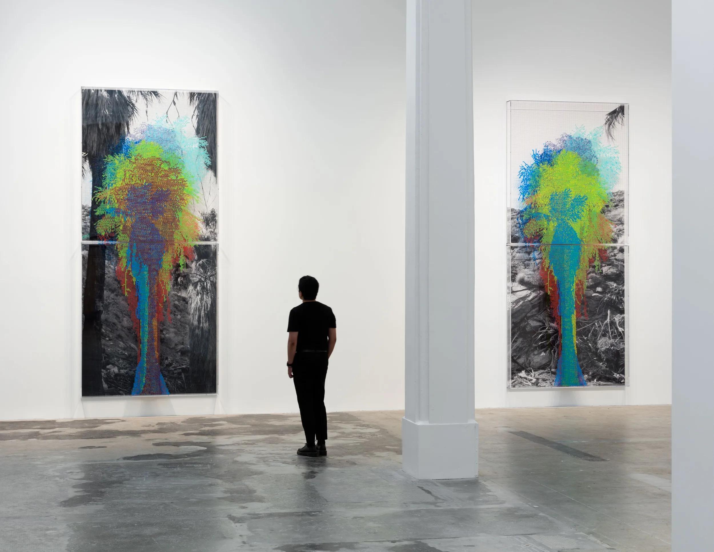 Installation view, ‘Charles Gaines. Palm Trees and Other Works,’ Hauser & Wirth Downtown Los Angeles, 2020. Photo: Fredrik Nilsen