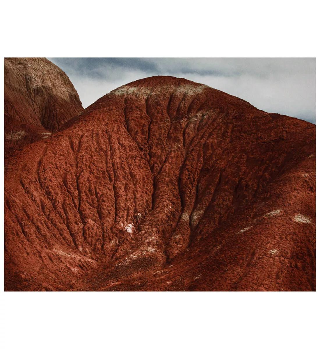 Image for exhibition titled Annie Leibovitz
