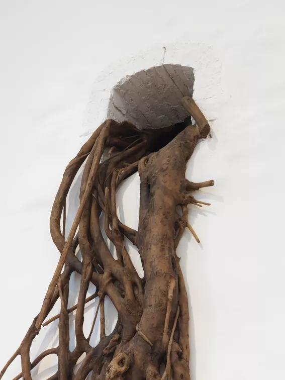 Image for exhibition 