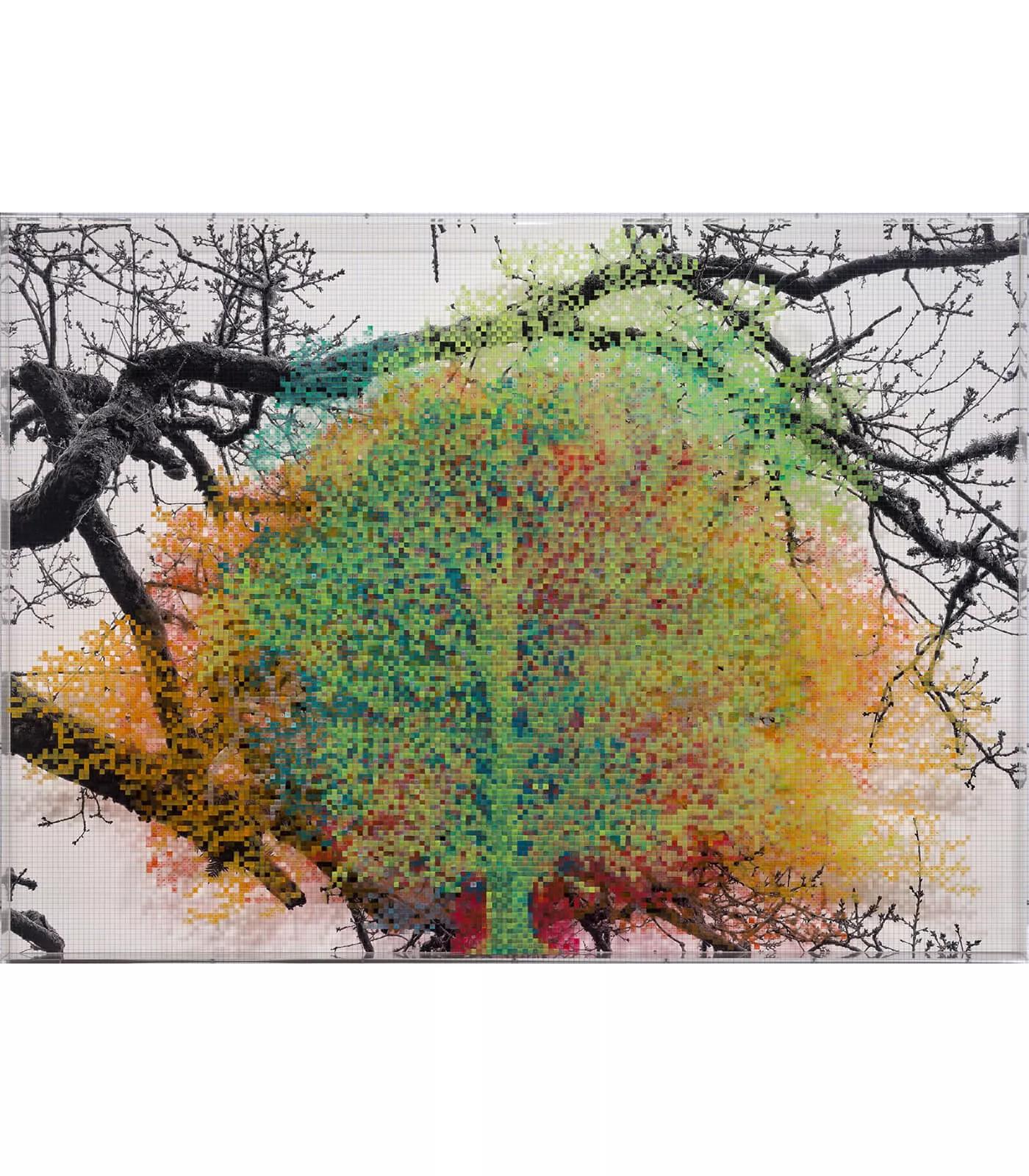 Image for exhibition titled Charles Gaines