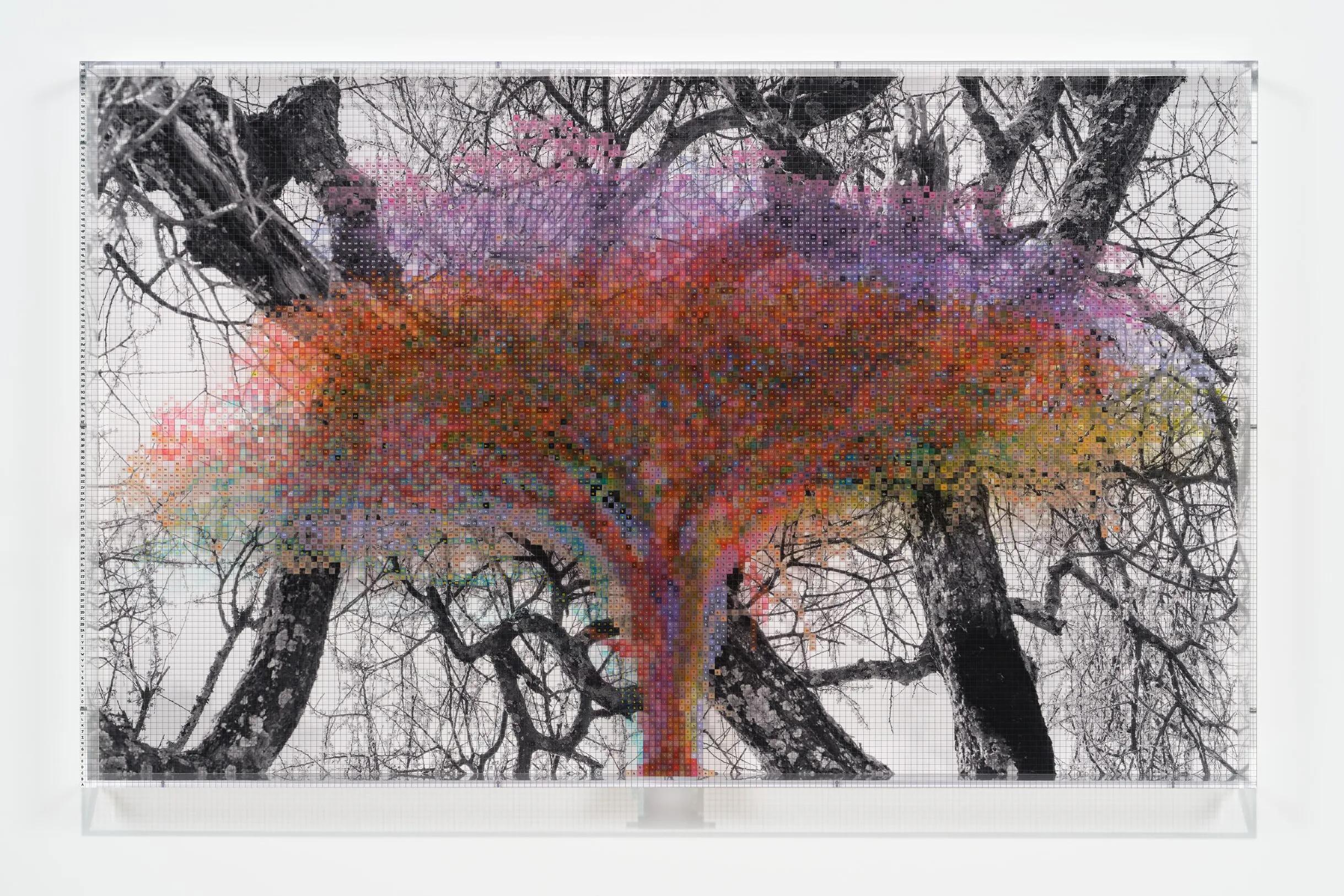 Image for exhibition titled Charles Gaines