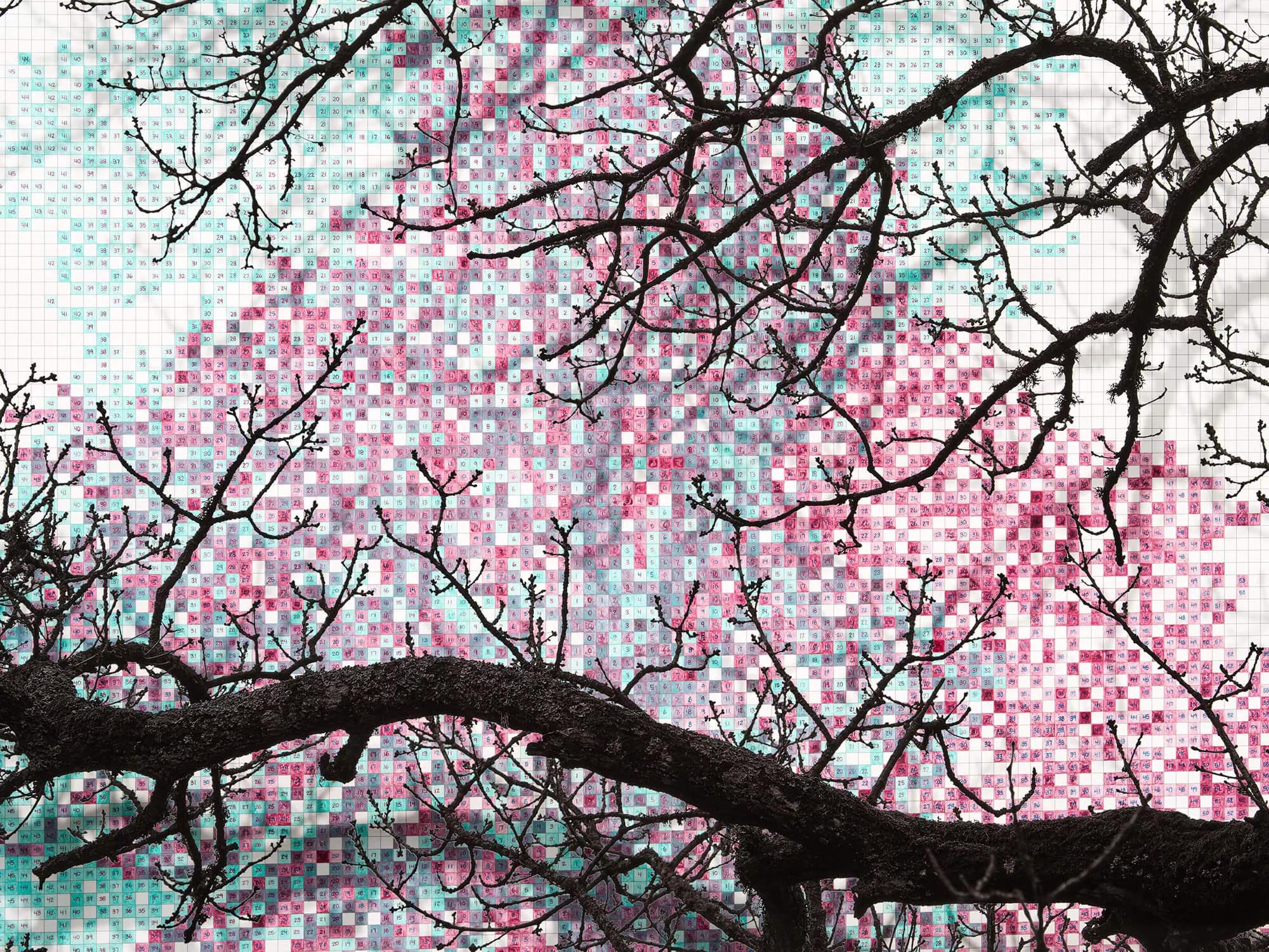 Hero image for exhibition titled Numbers and Trees: London Series 2, Tree #2, Compter Passage