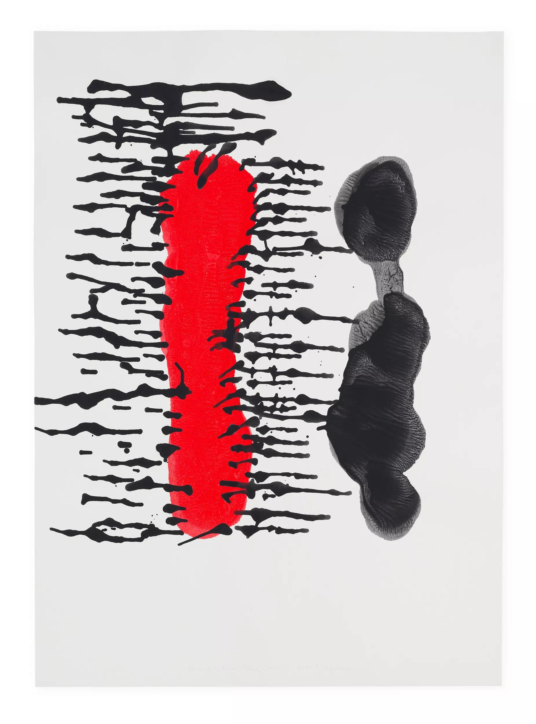 Image for Anna Maria Maiolino