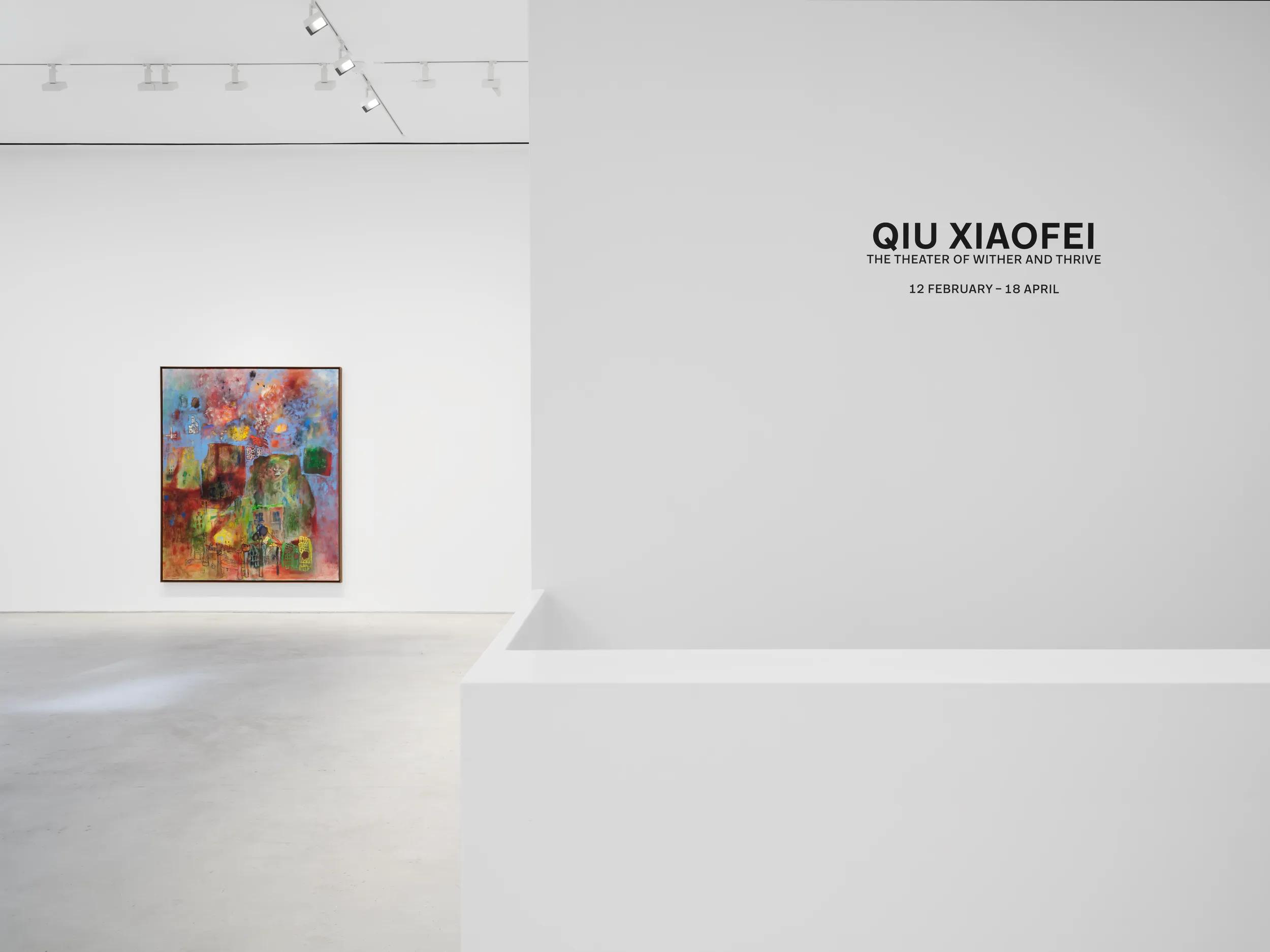 Installation view image for INSTALLATION VIEWS