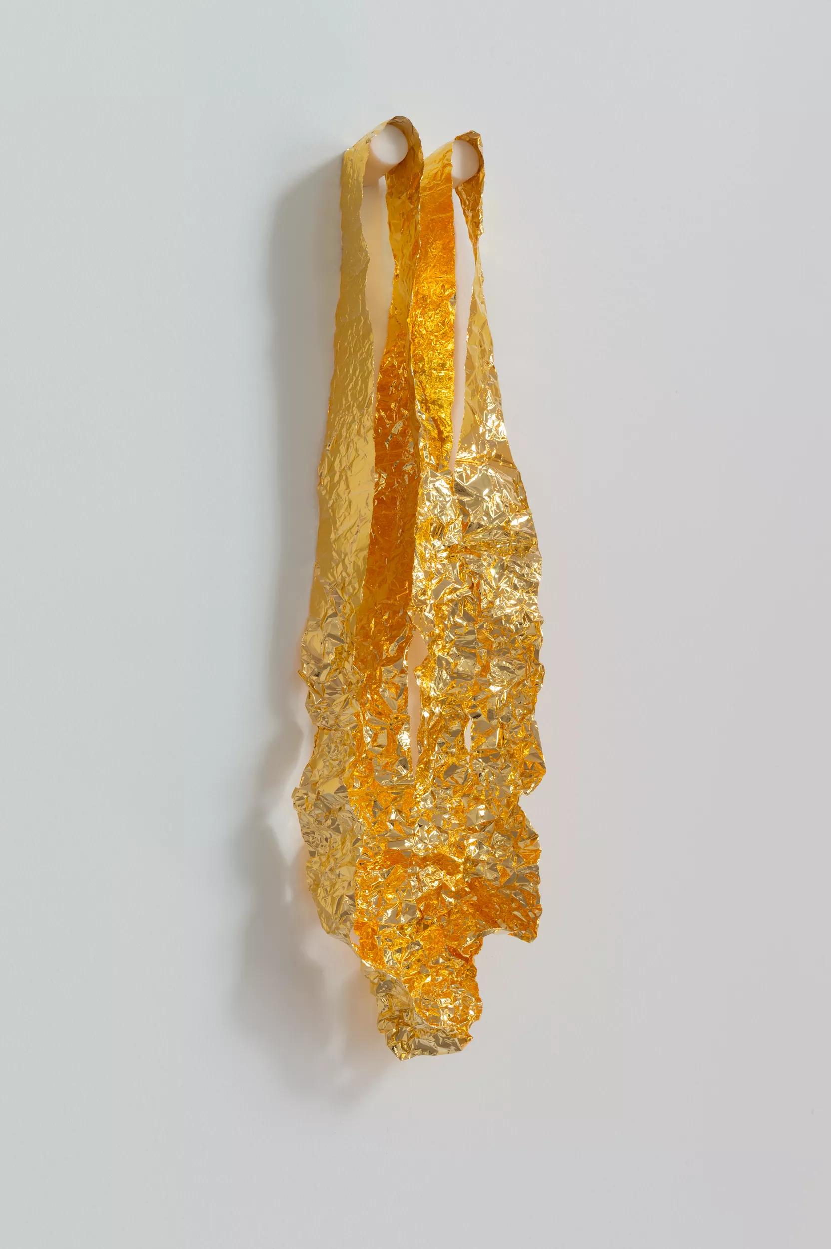 Image for exhibition titled Roni Horn