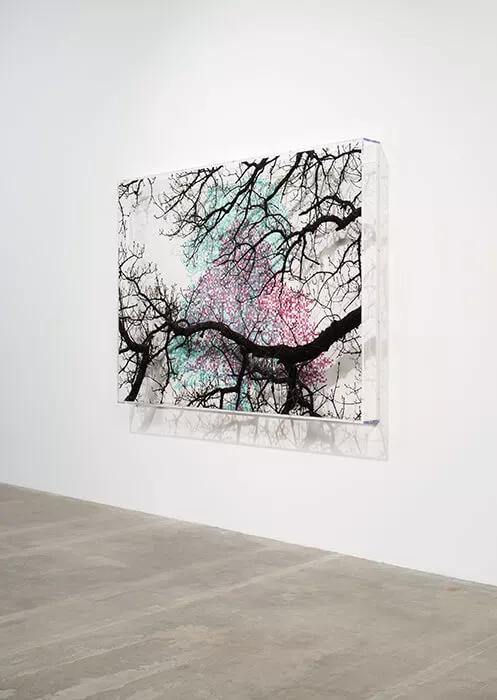 Thumbnail image for exhibition titled Numbers and Trees: London Series 2, Tree #2, Compter Passage