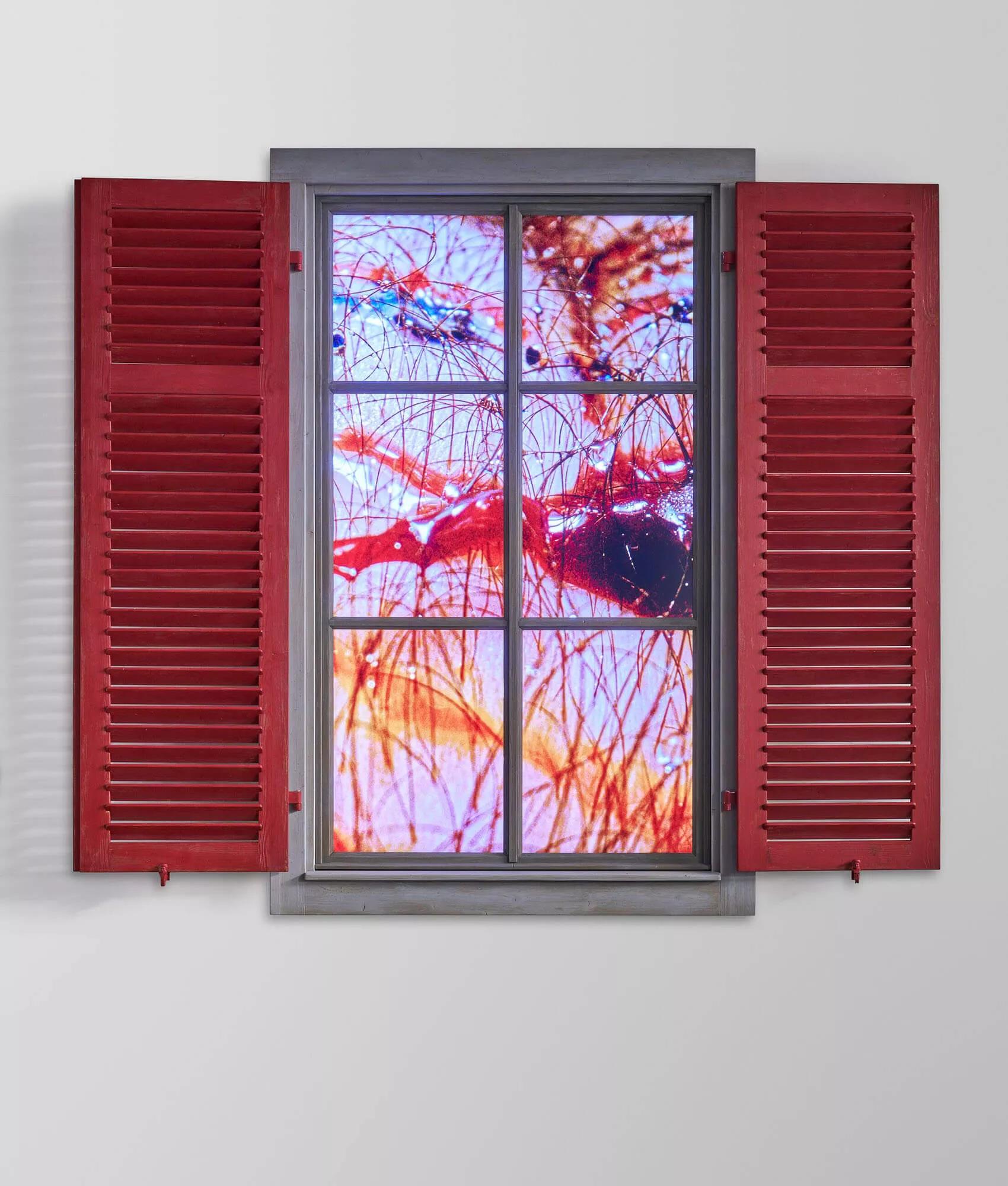 Thumbnail image for exhibition titled Peeping Freedom Shutters for Linda Malnati (Apollomat vertical screen PFS_A)