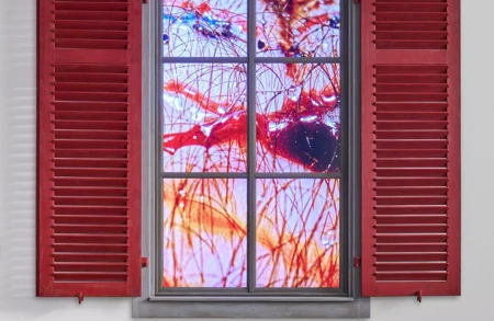 Thumbnail image for exhibition titled Pipilotti Rist