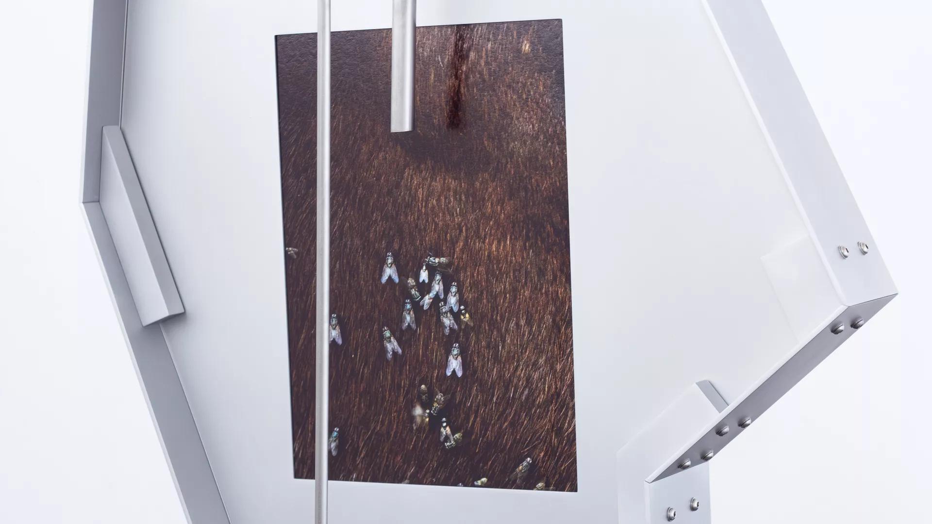 Image for exhibition 