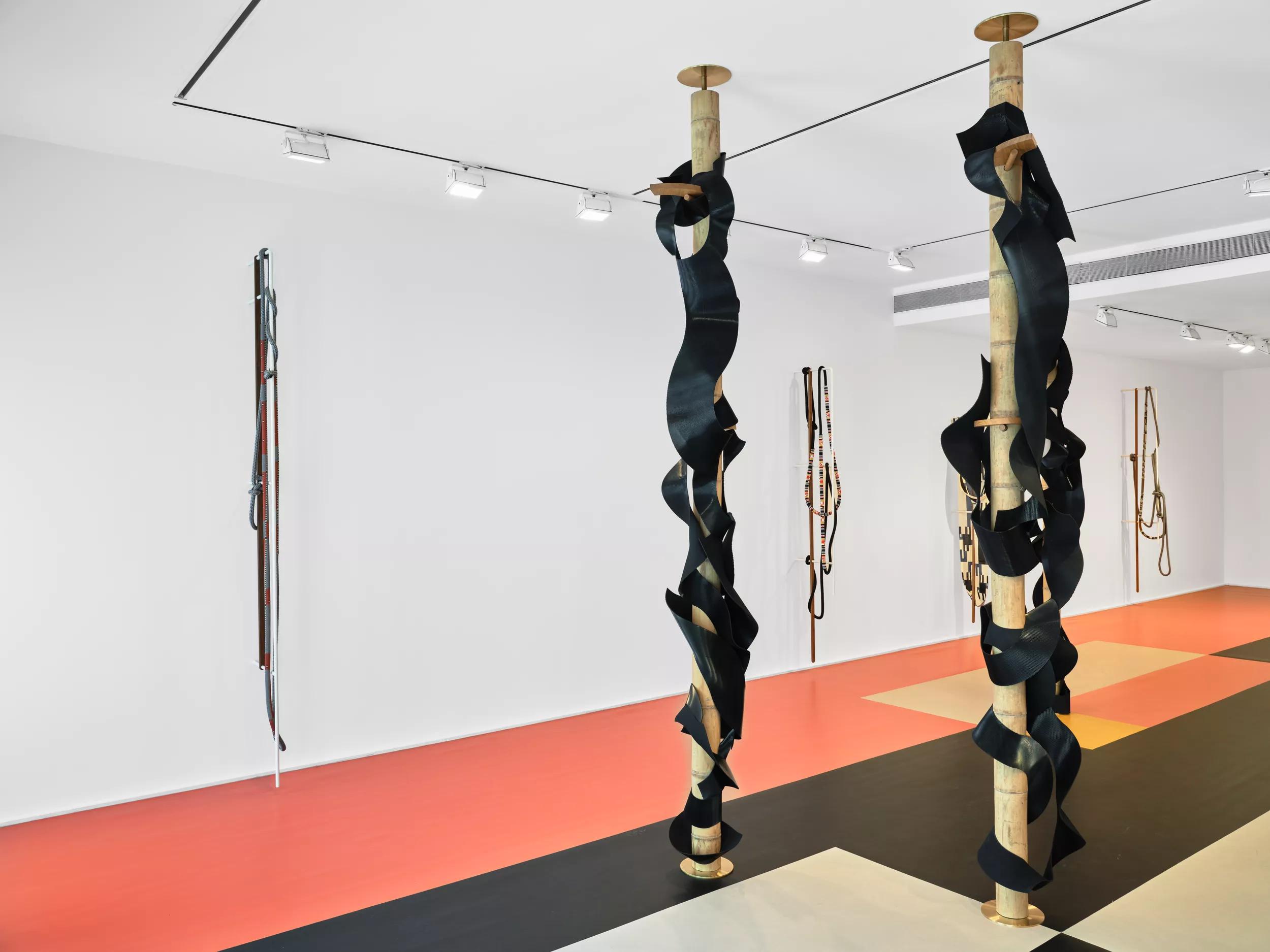 Thumbnail image for exhibition titled Leonor Antunes