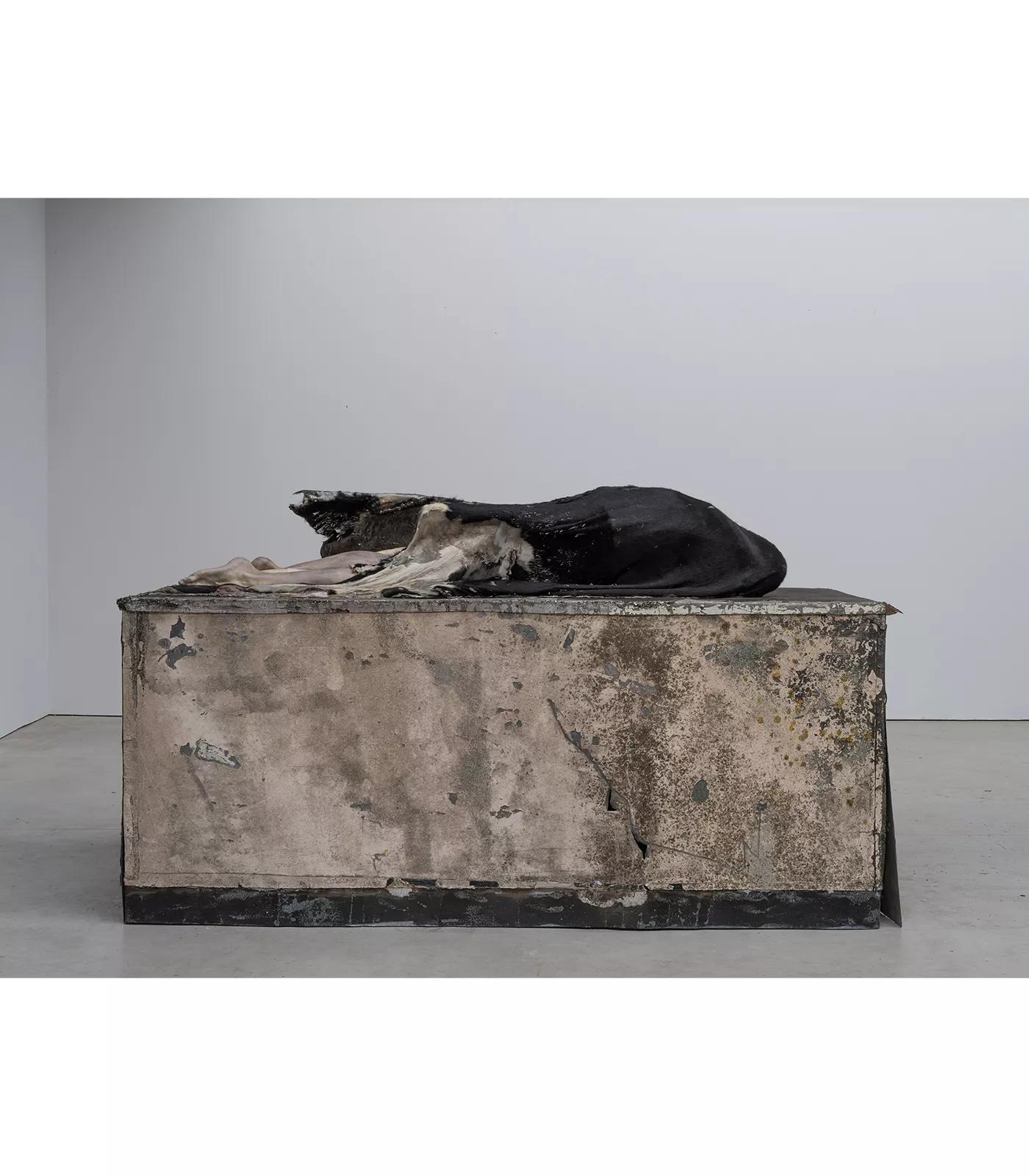 Image for exhibition titled Berlinde  De Bruyckere