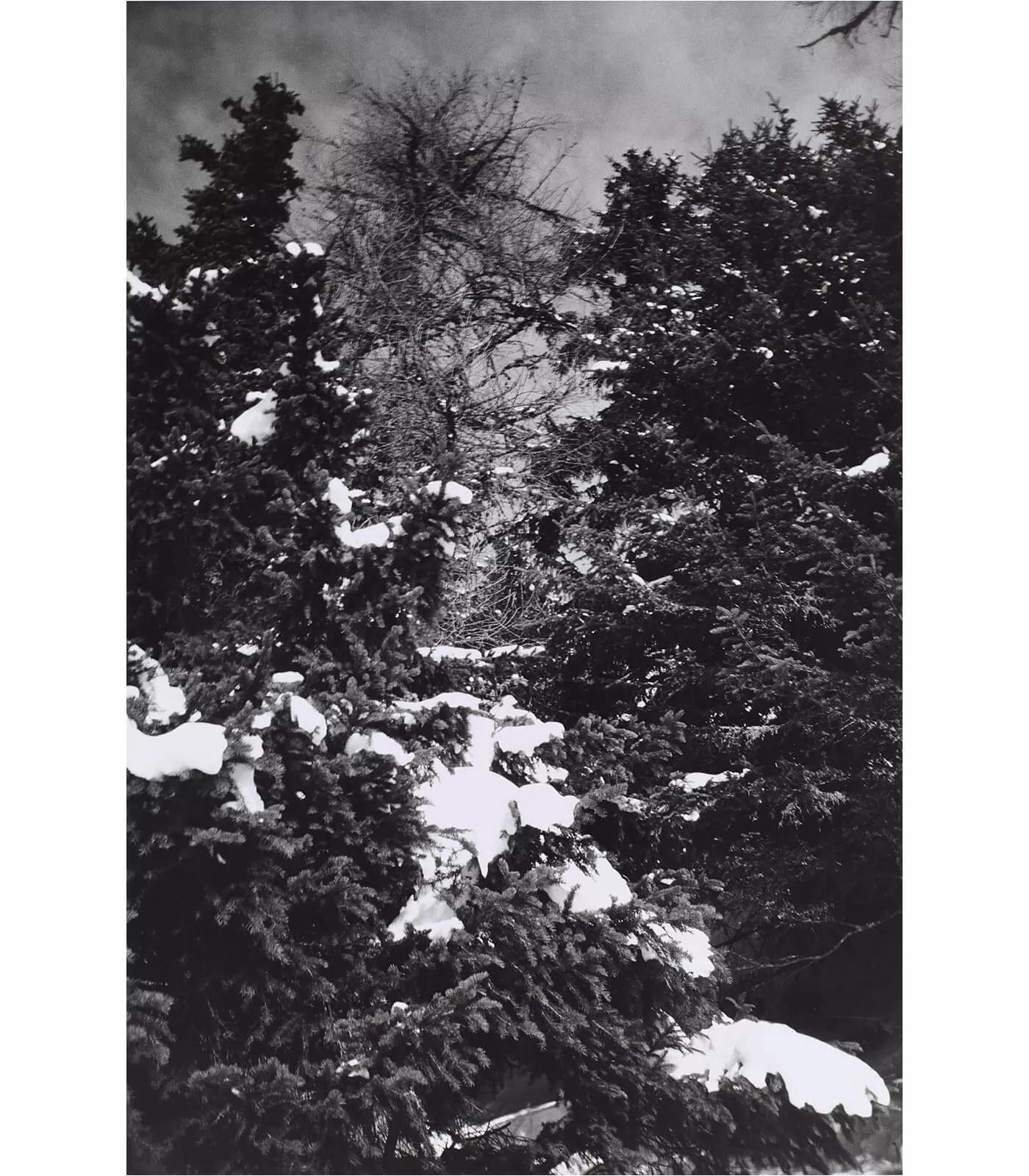 Image for exhibition titled Günther Förg