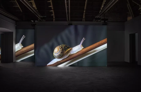 Anri Sala_Rivoli_003