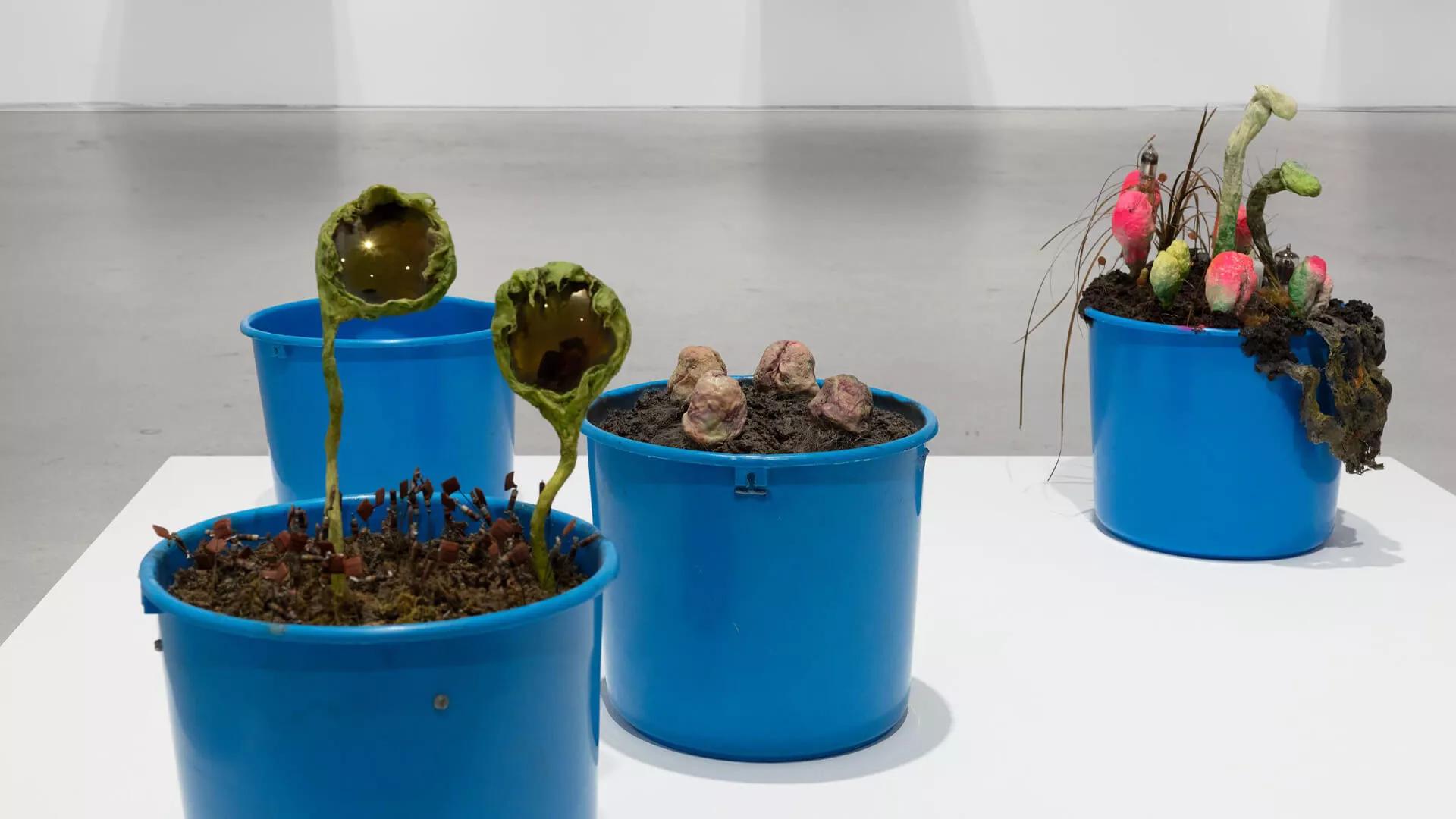 Image for exhibition 