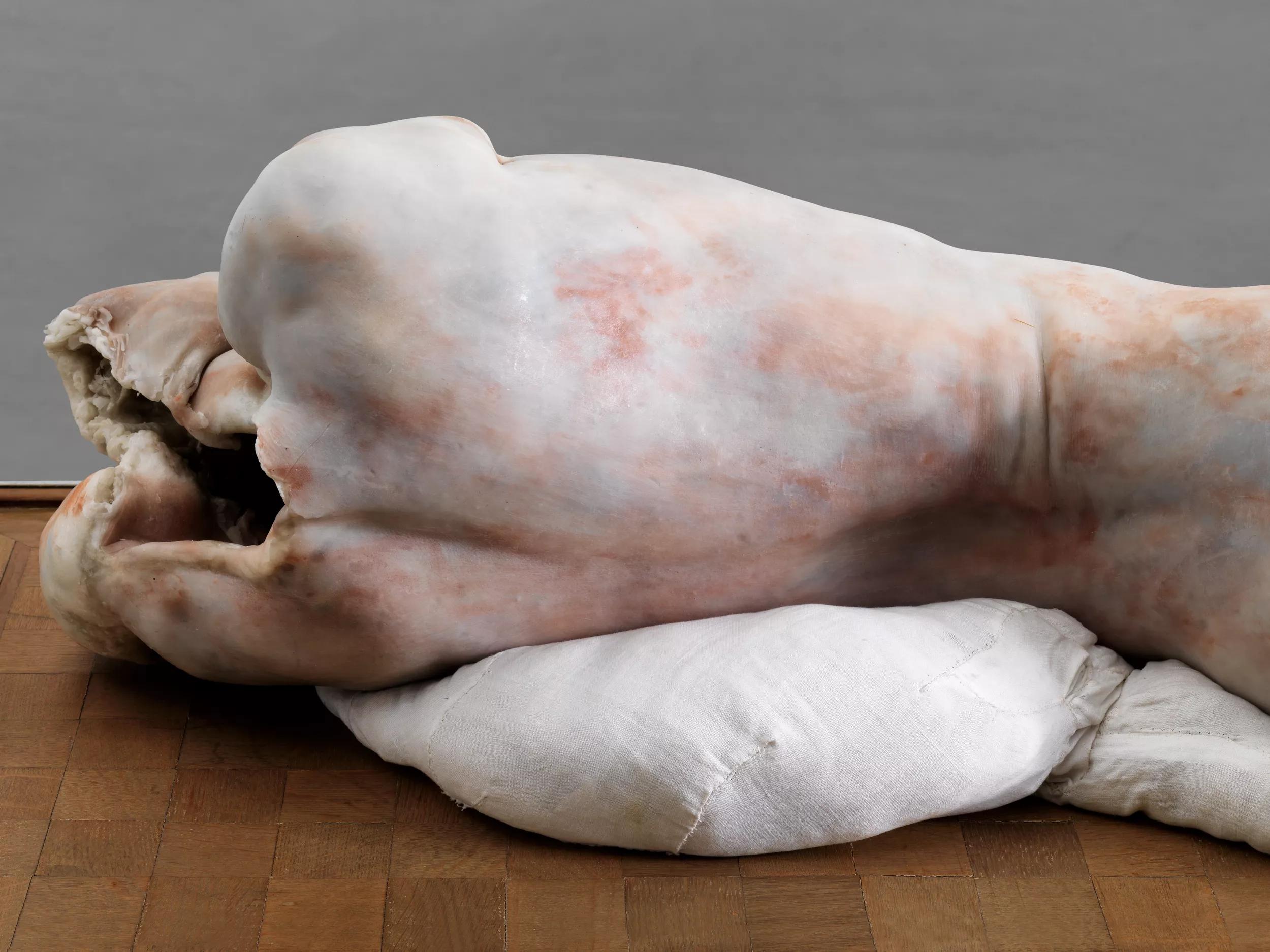 Image for exhibition 