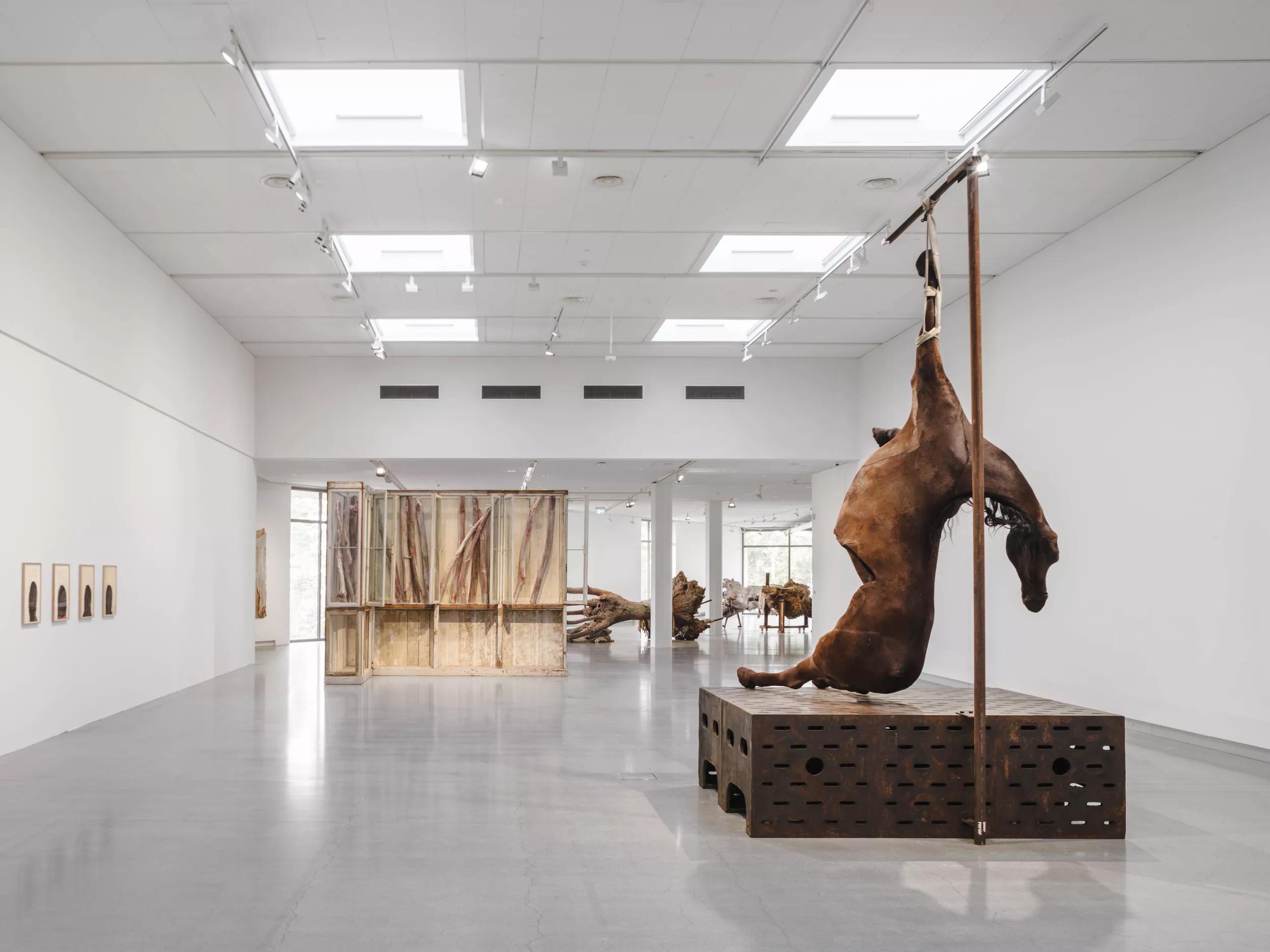Image for exhibition 