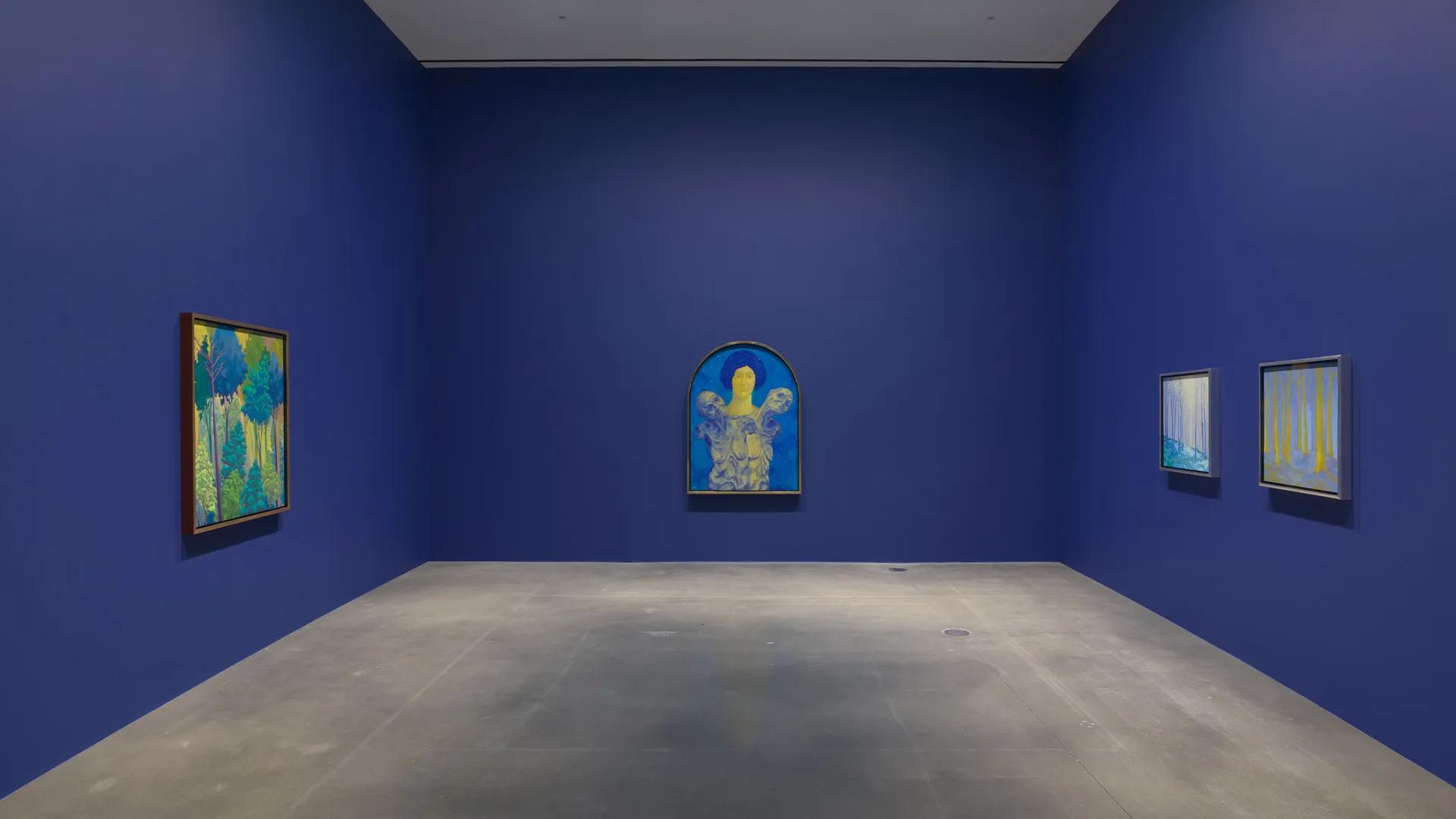 Installation view image for Installation Views