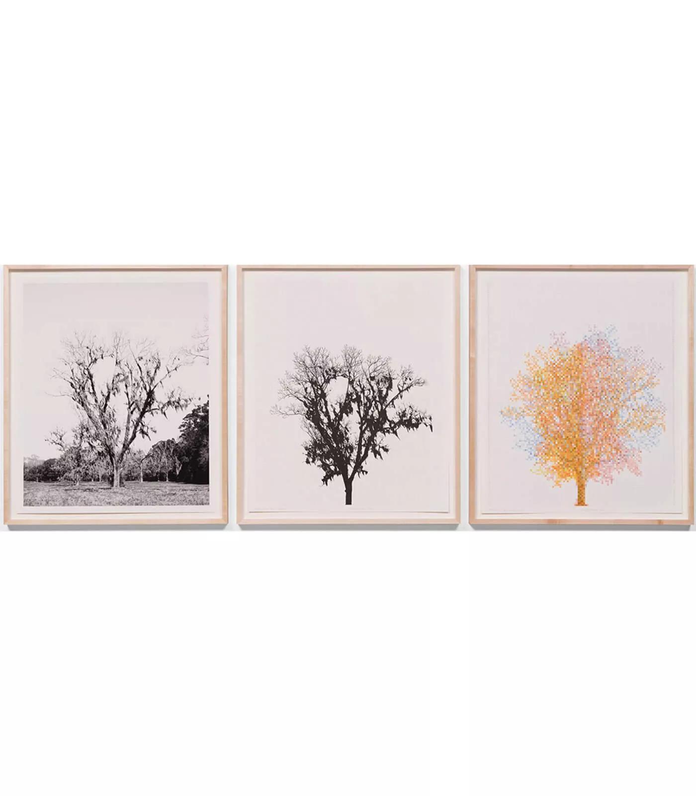 Image for exhibition titled Charles Gaines