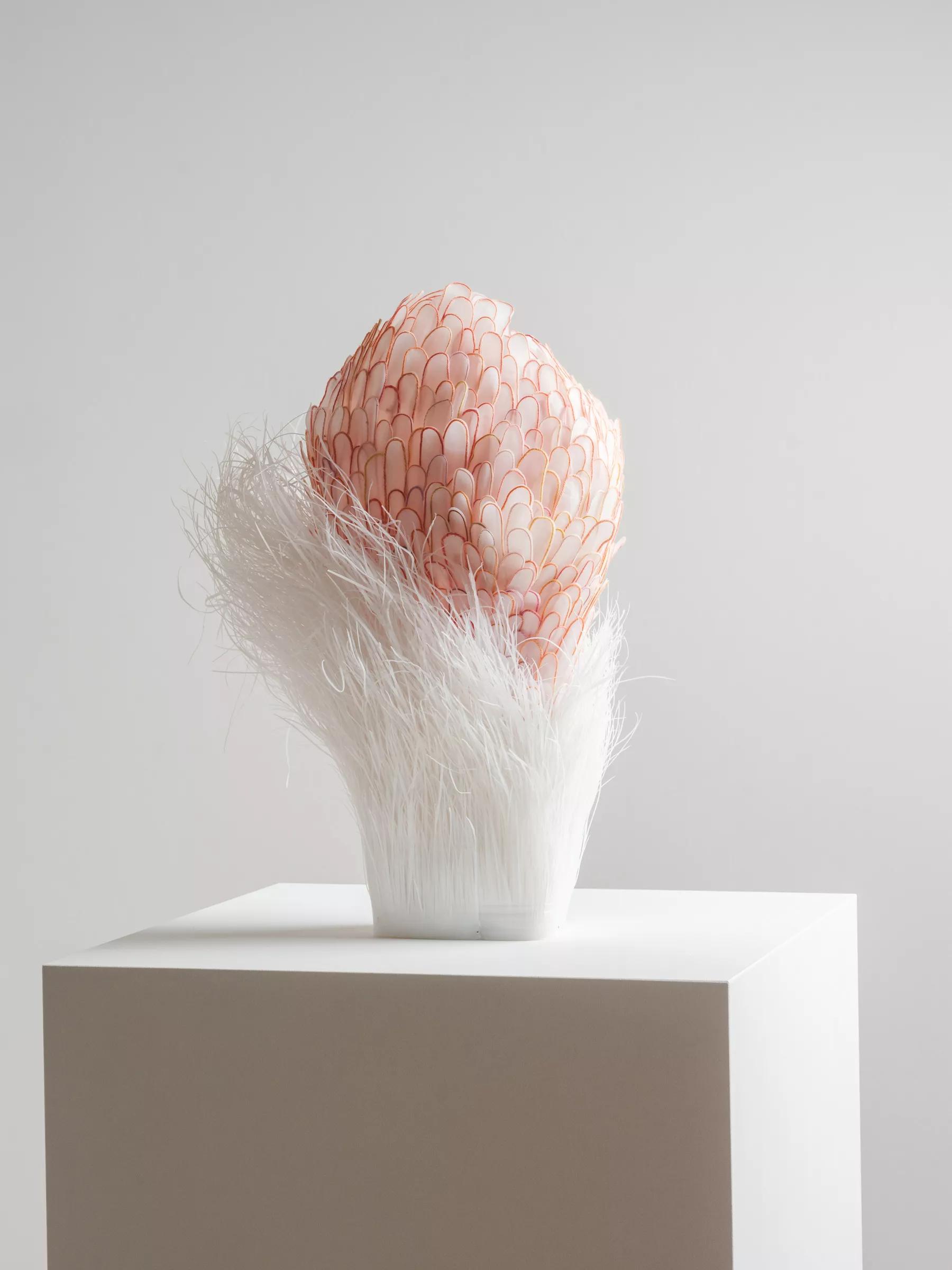 Image for exhibition titled Helen O’Shea