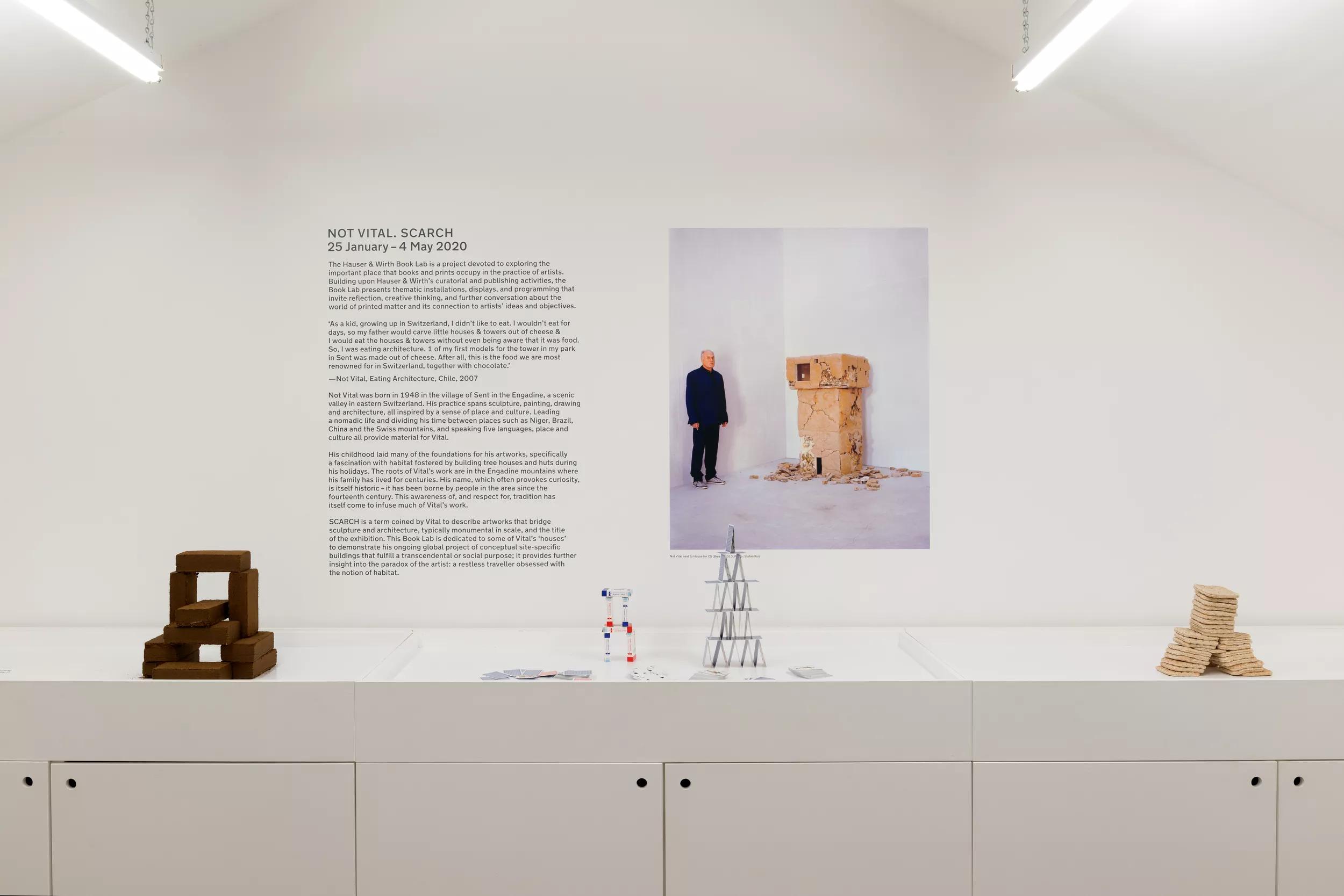 Installation view image for Installation views