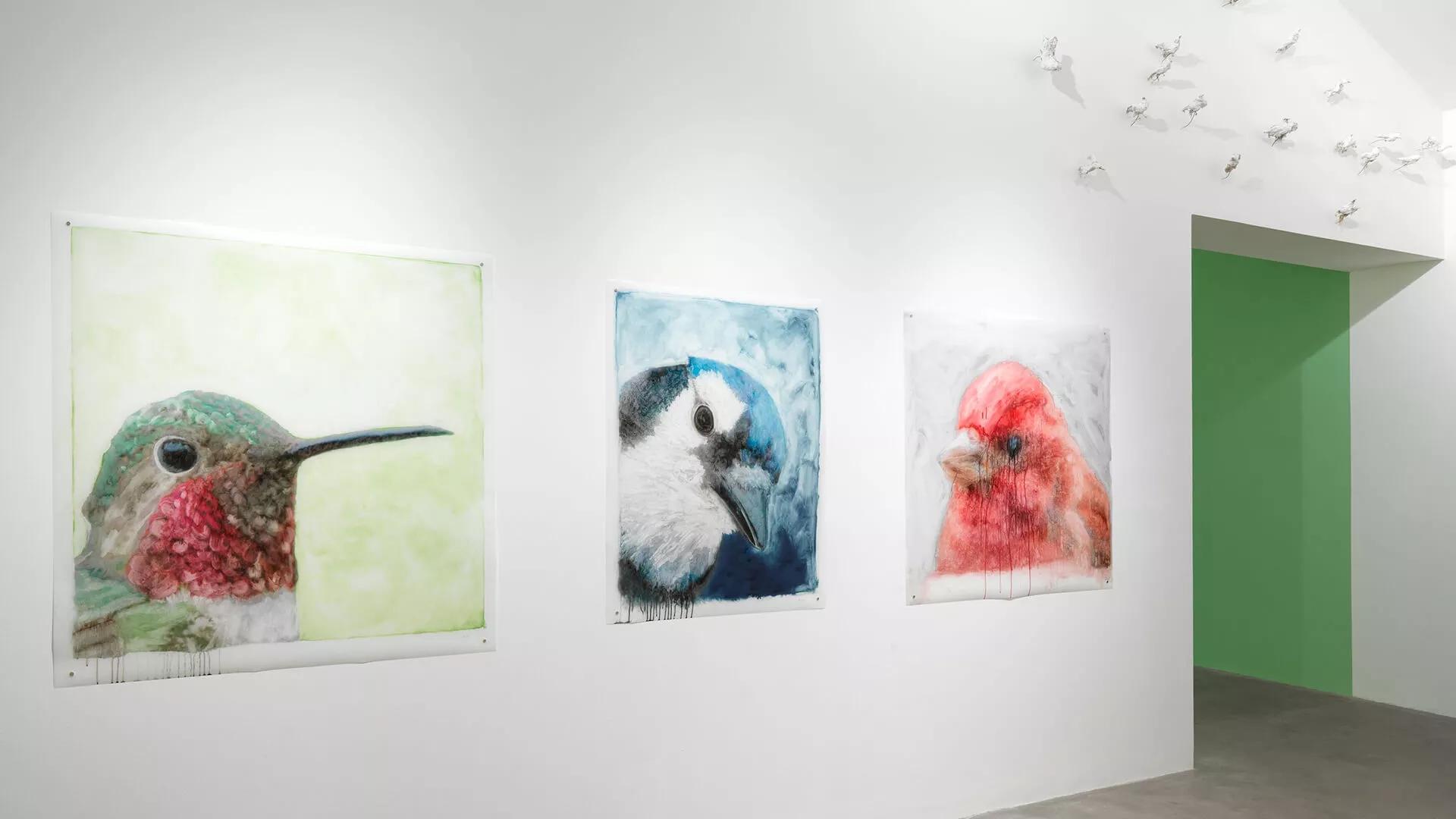 Image for exhibition 