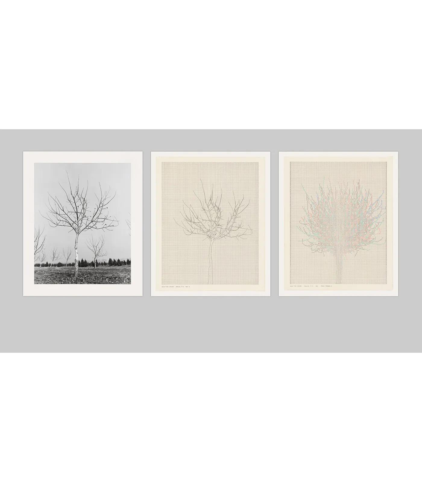Image for exhibition titled Charles Gaines